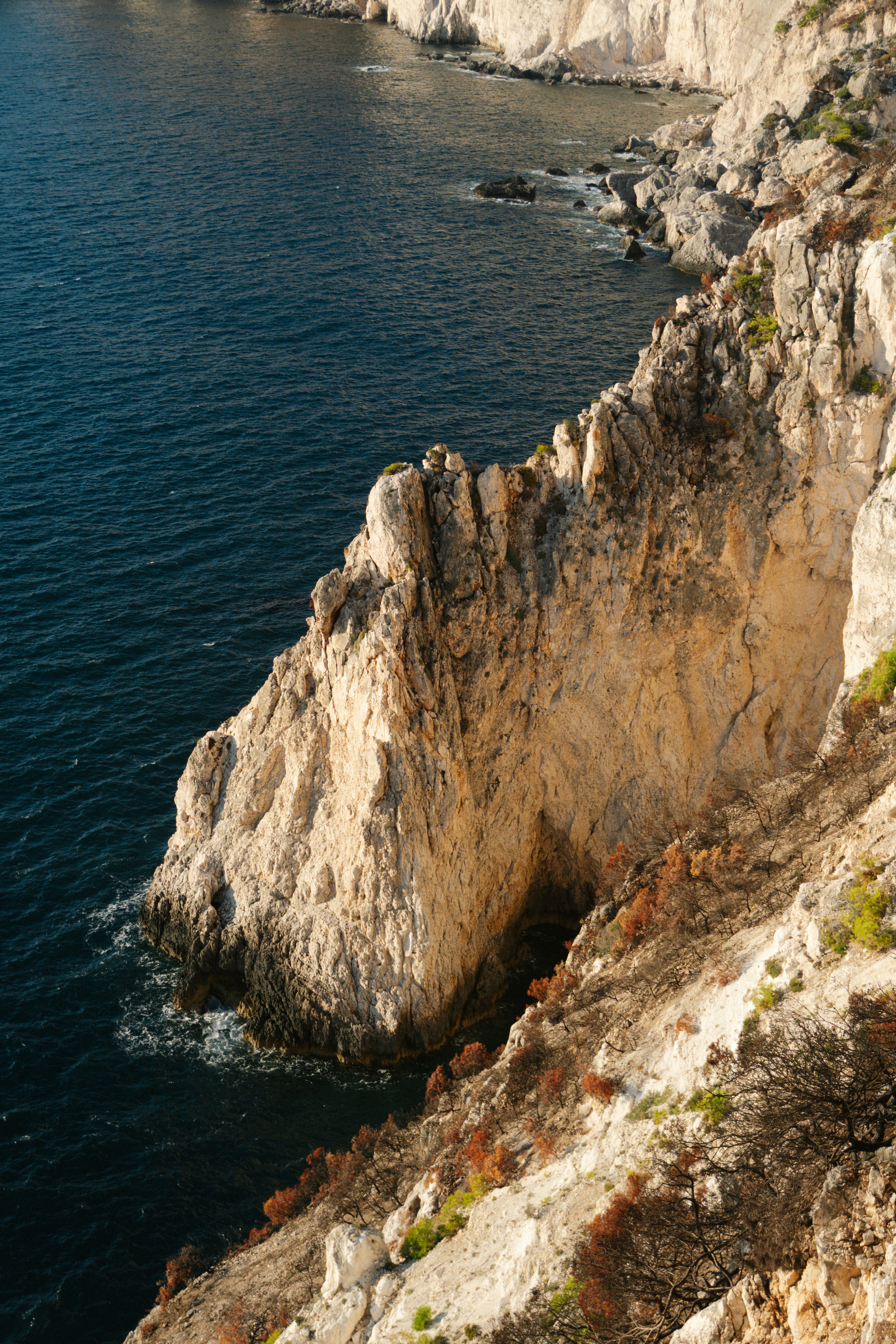 Photo by raymondpetrik