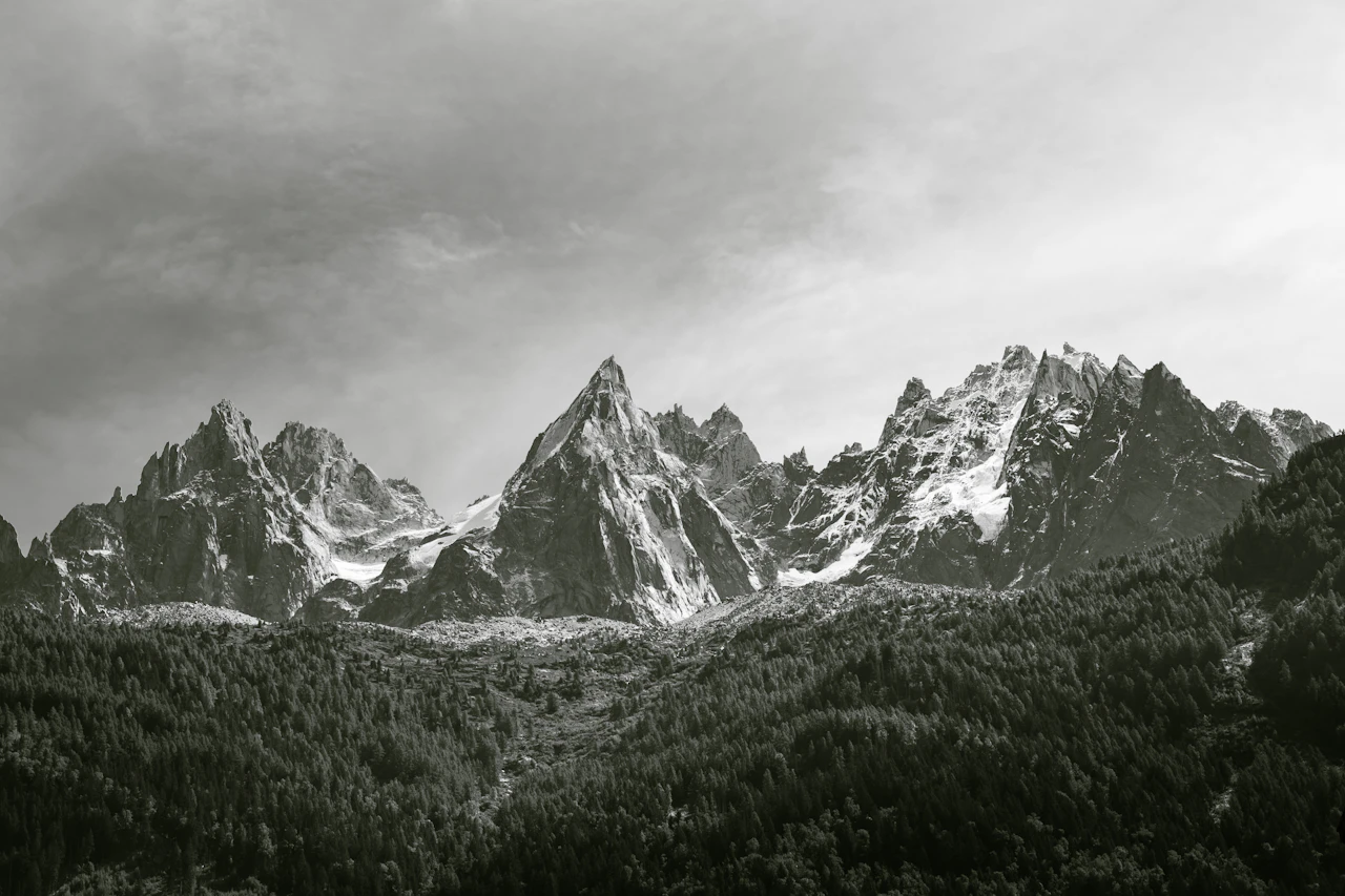 Jagged mountain peaks rise above a dense forest