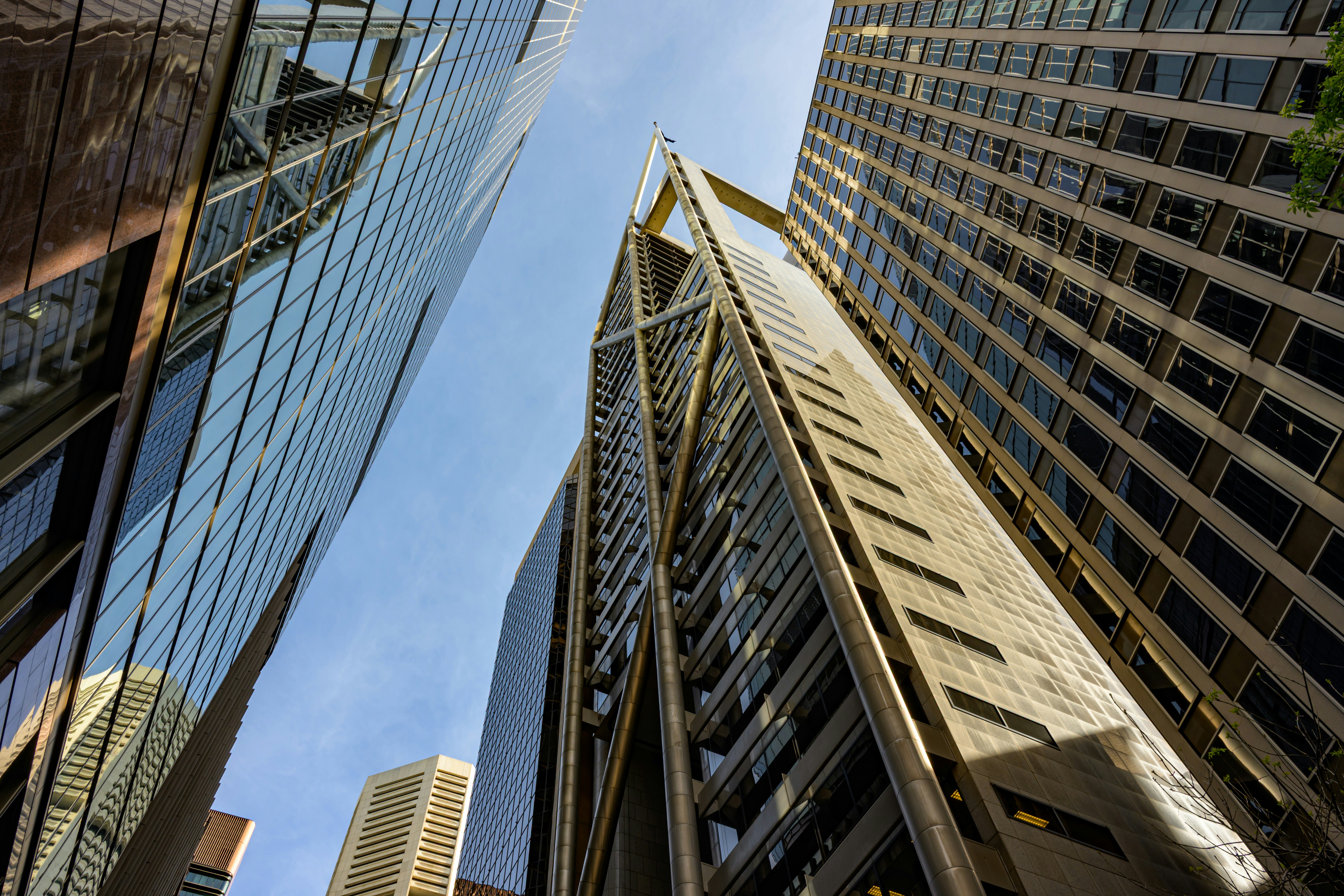 국세청, 세무서로부터 ‘외국법인 국내지점 현황파악 안내문’을 받으셨나요? — 외국기업 국내지점(Branch Office) 및 연락사무소(Liaison Office) 법인세 신고 및 세무조사 대응 가이드