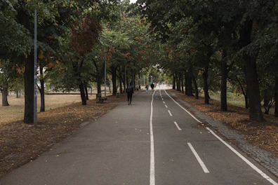 People walking on a park path lined with trees.