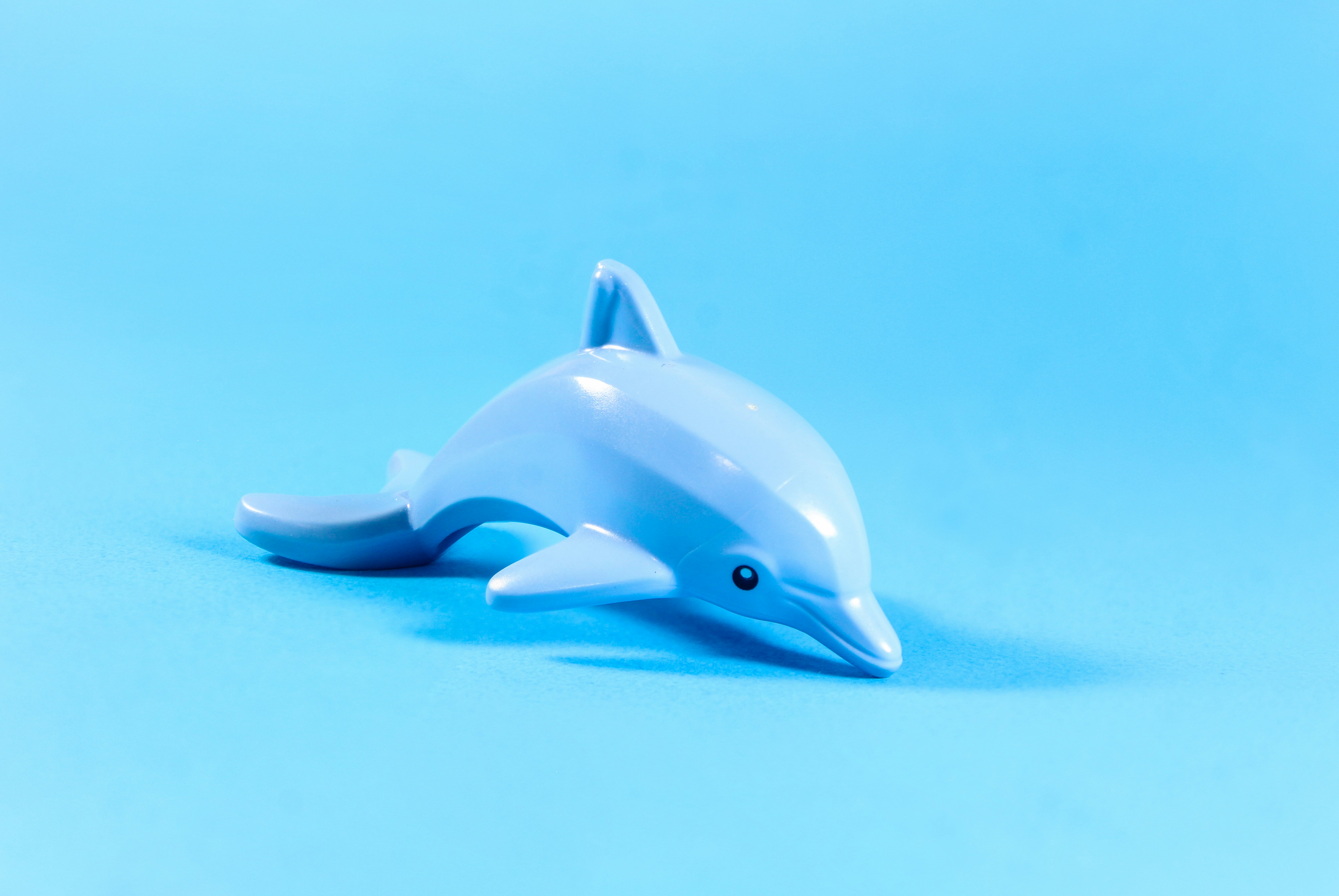 Ecco the Dolphin: Complete Geliyor — Tüm Serinin En İyi Haliyle Yeniden Düşünülmüş