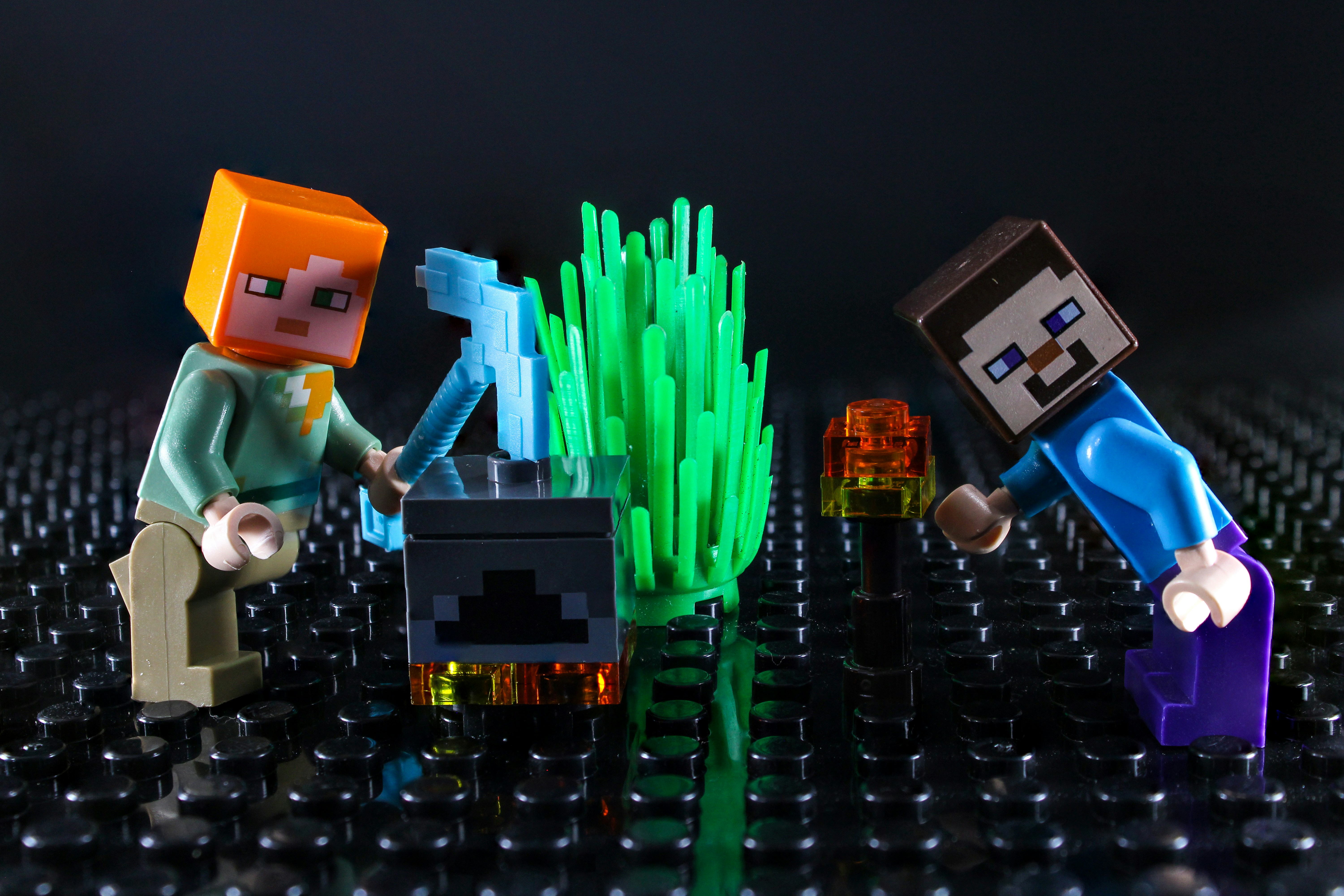 Two minecraft figures interacting with a plant