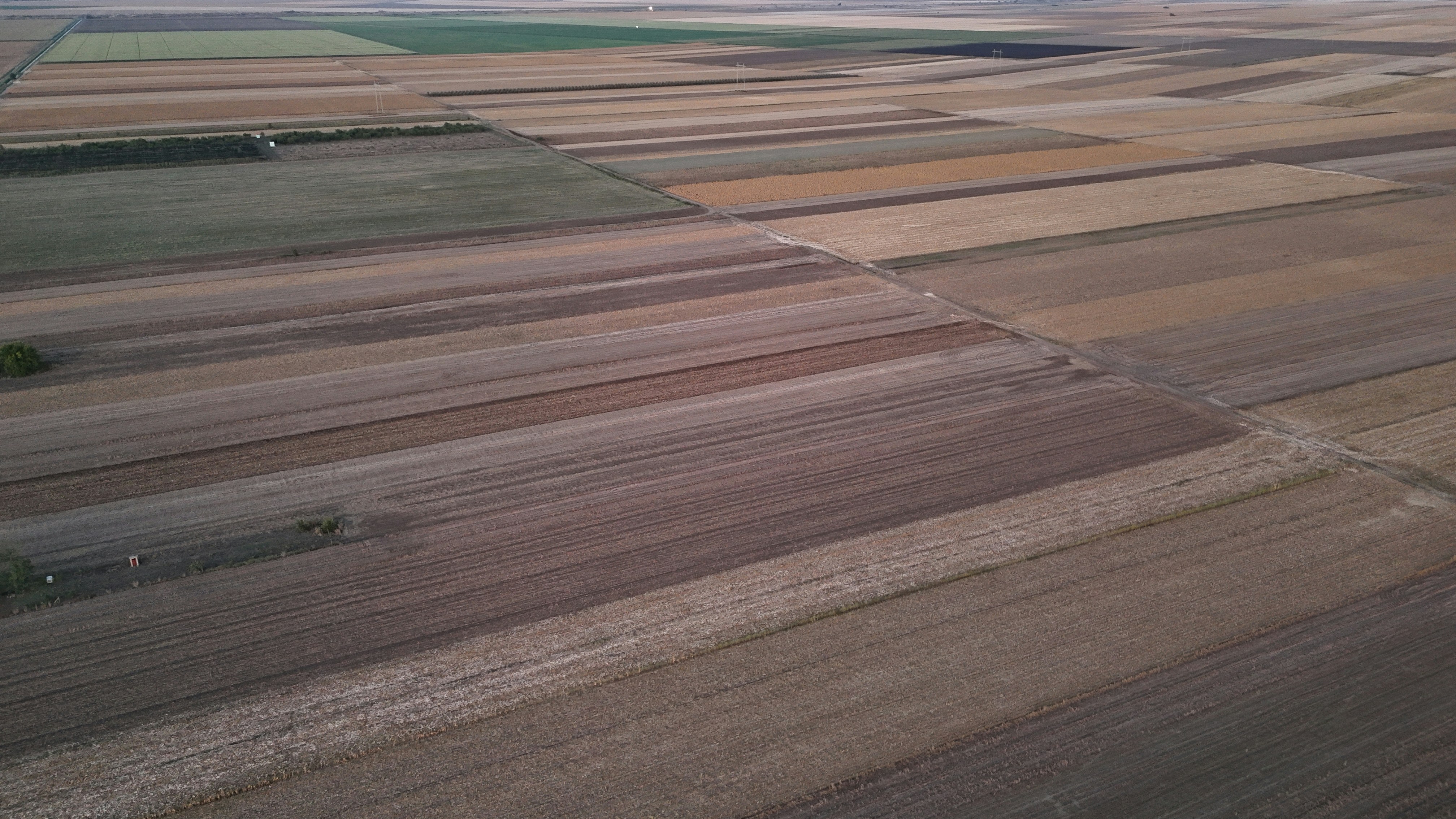 Aerial view of agricultural fields with varying textures and colors.