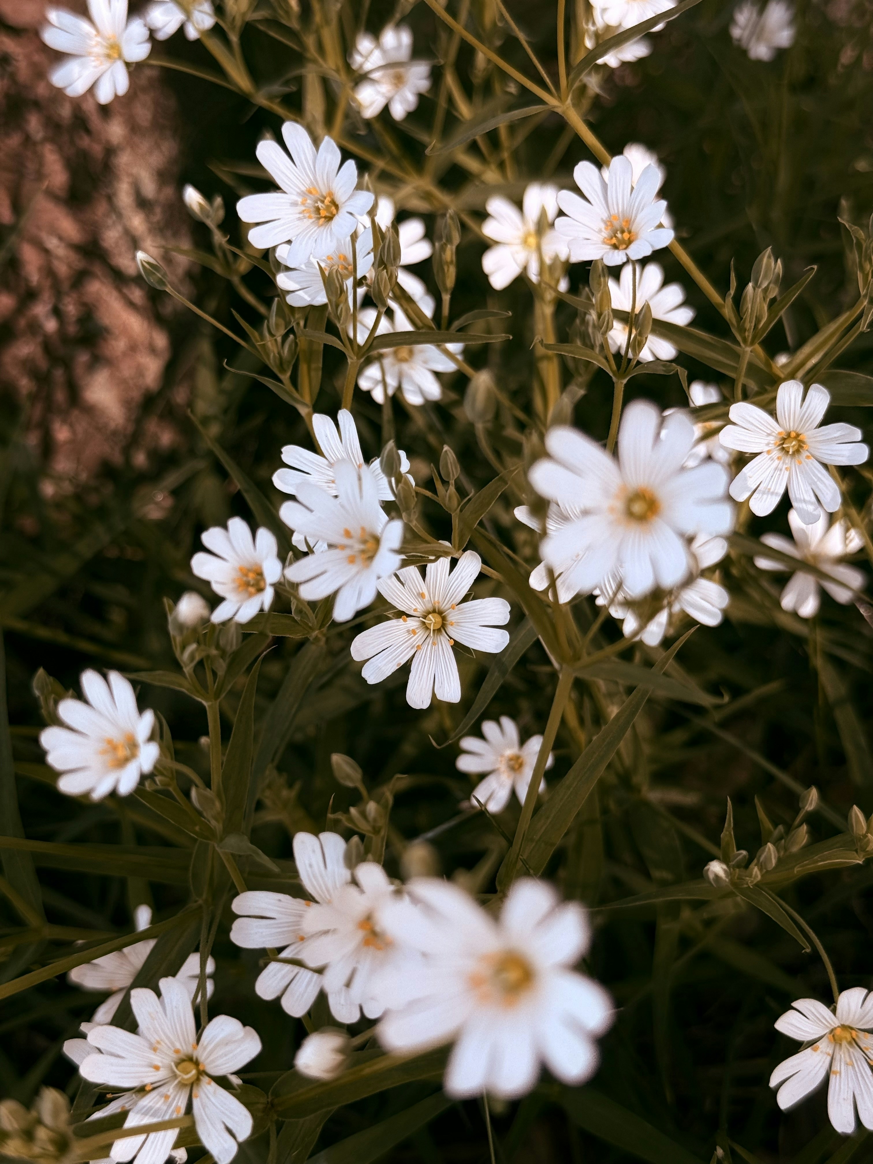 Photo by neoleephoto