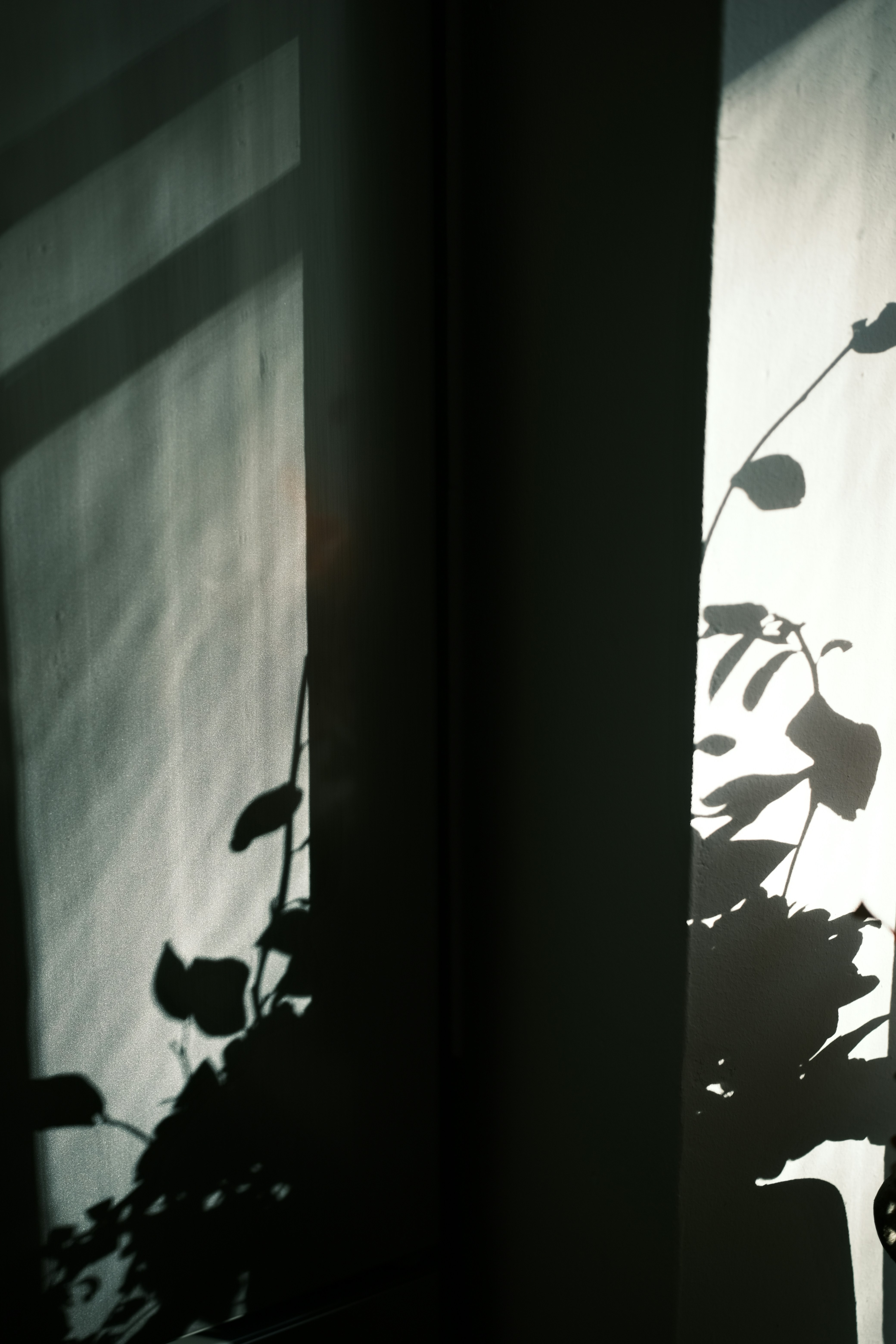 How Micro‑Showrooms and Smart Pop‑Ups Are Rewriting Beachwear Retail in 2026