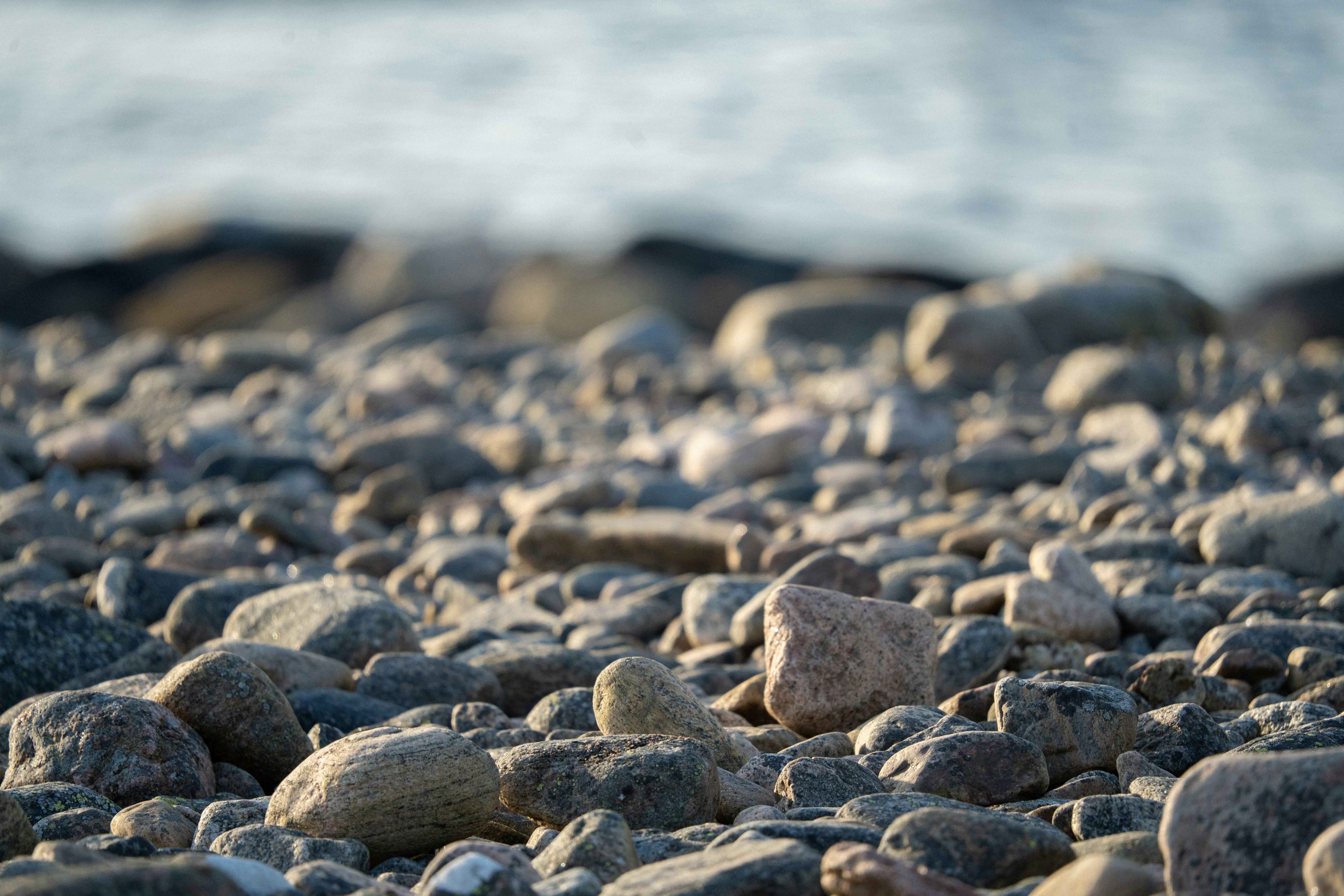 Photo by sorinbasangeac