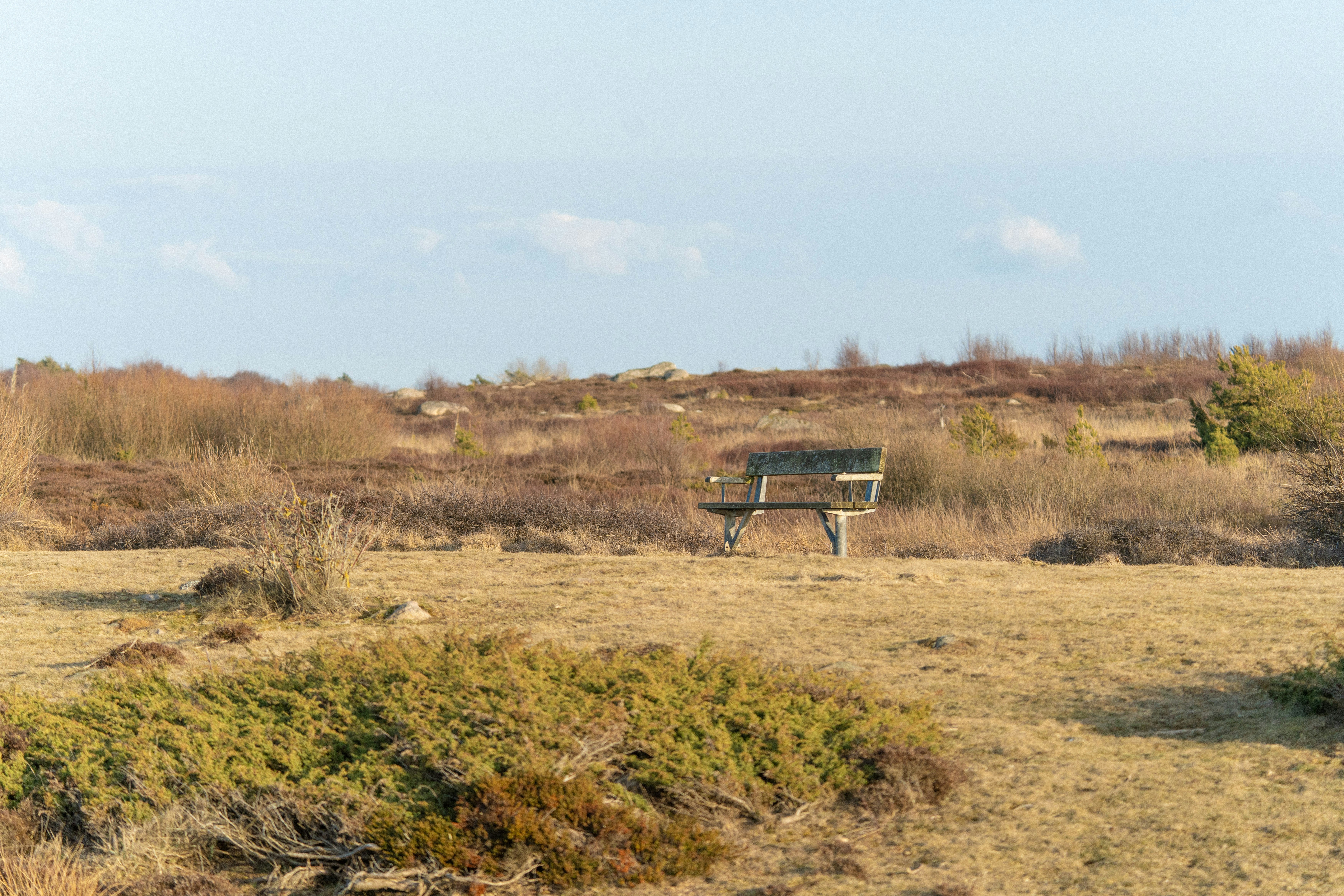 Photo by sorinbasangeac