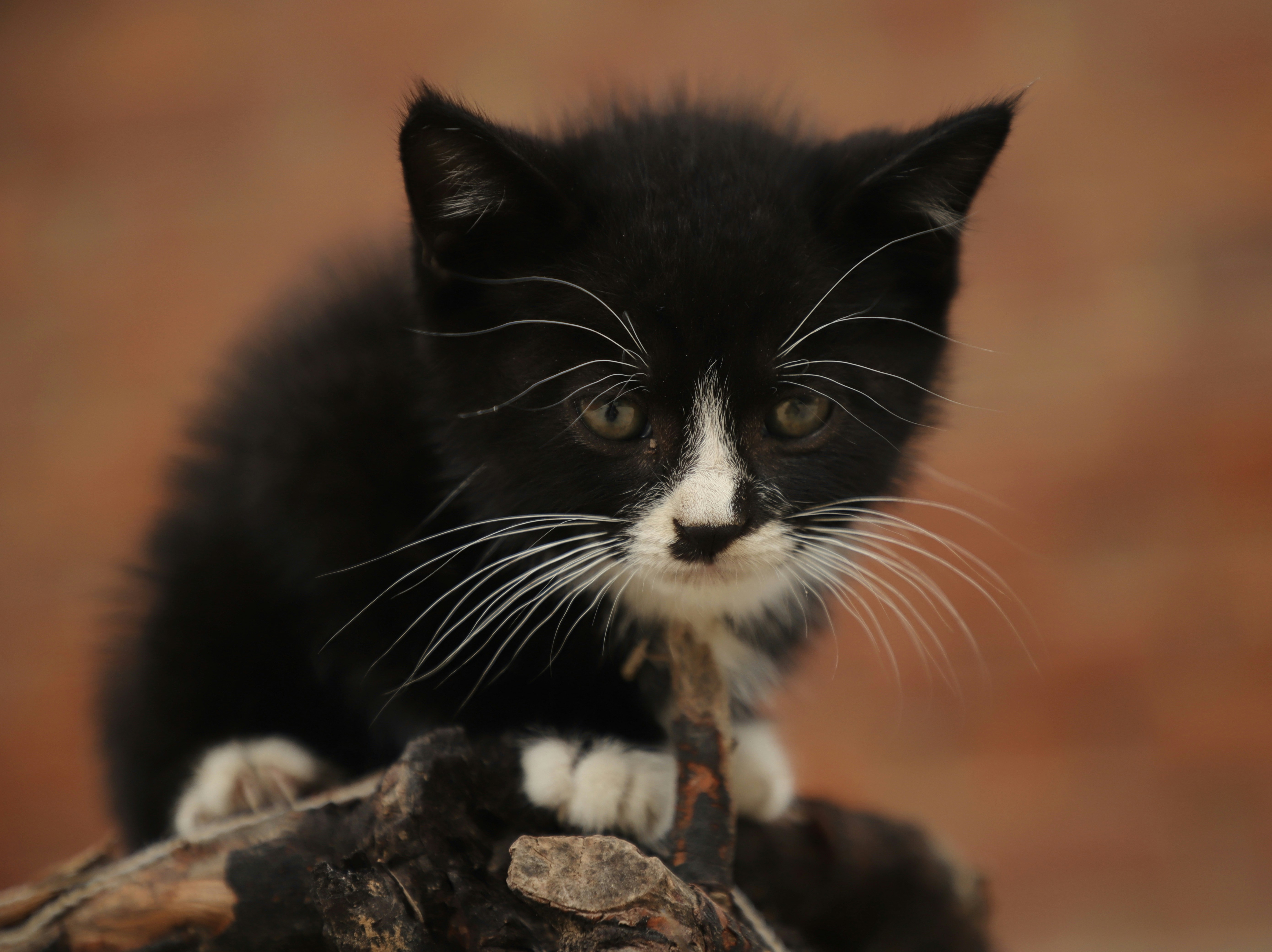 Photo by galaxyhunter