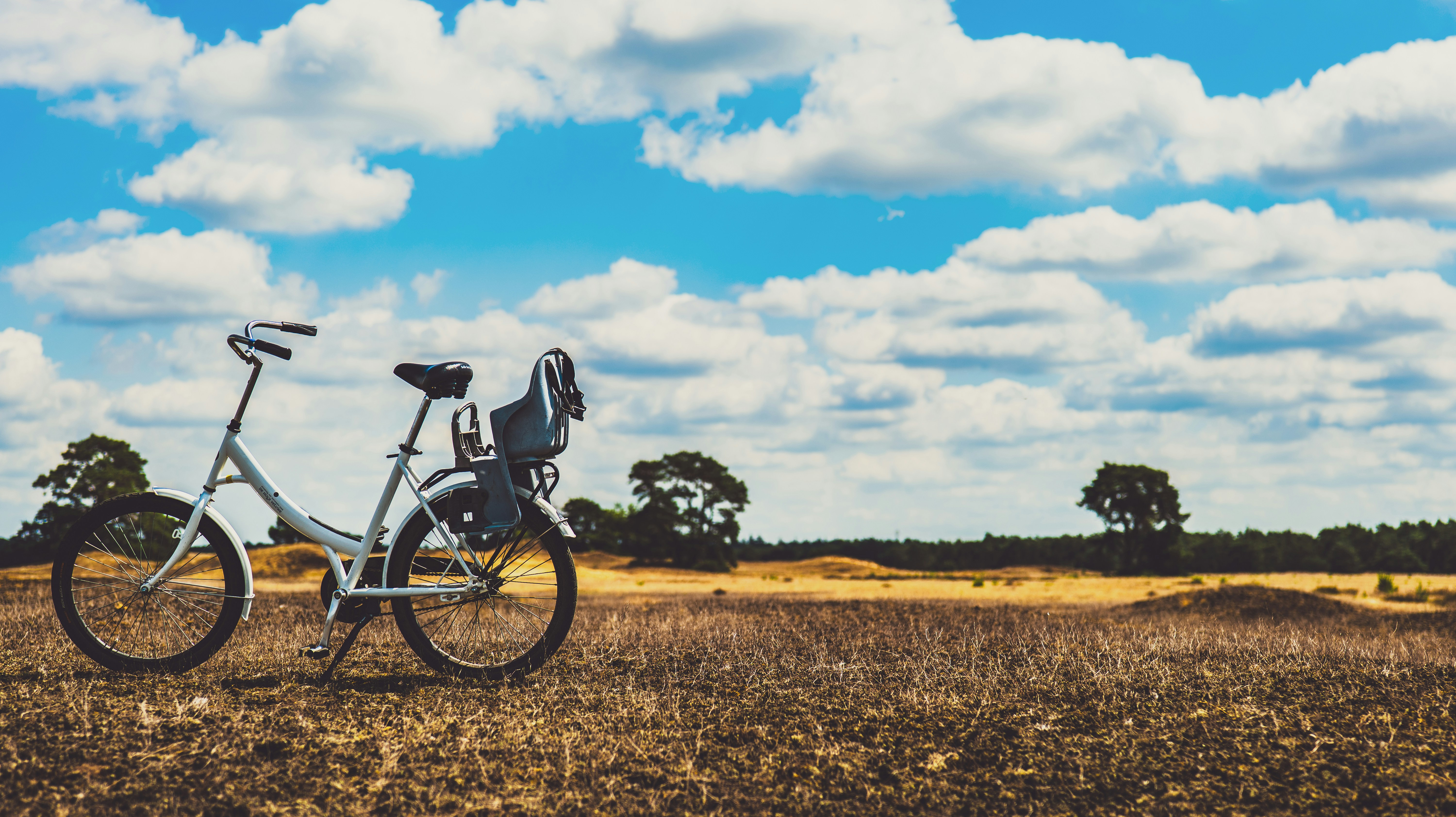 Bicycle parked in a dry grassy field under clouds.