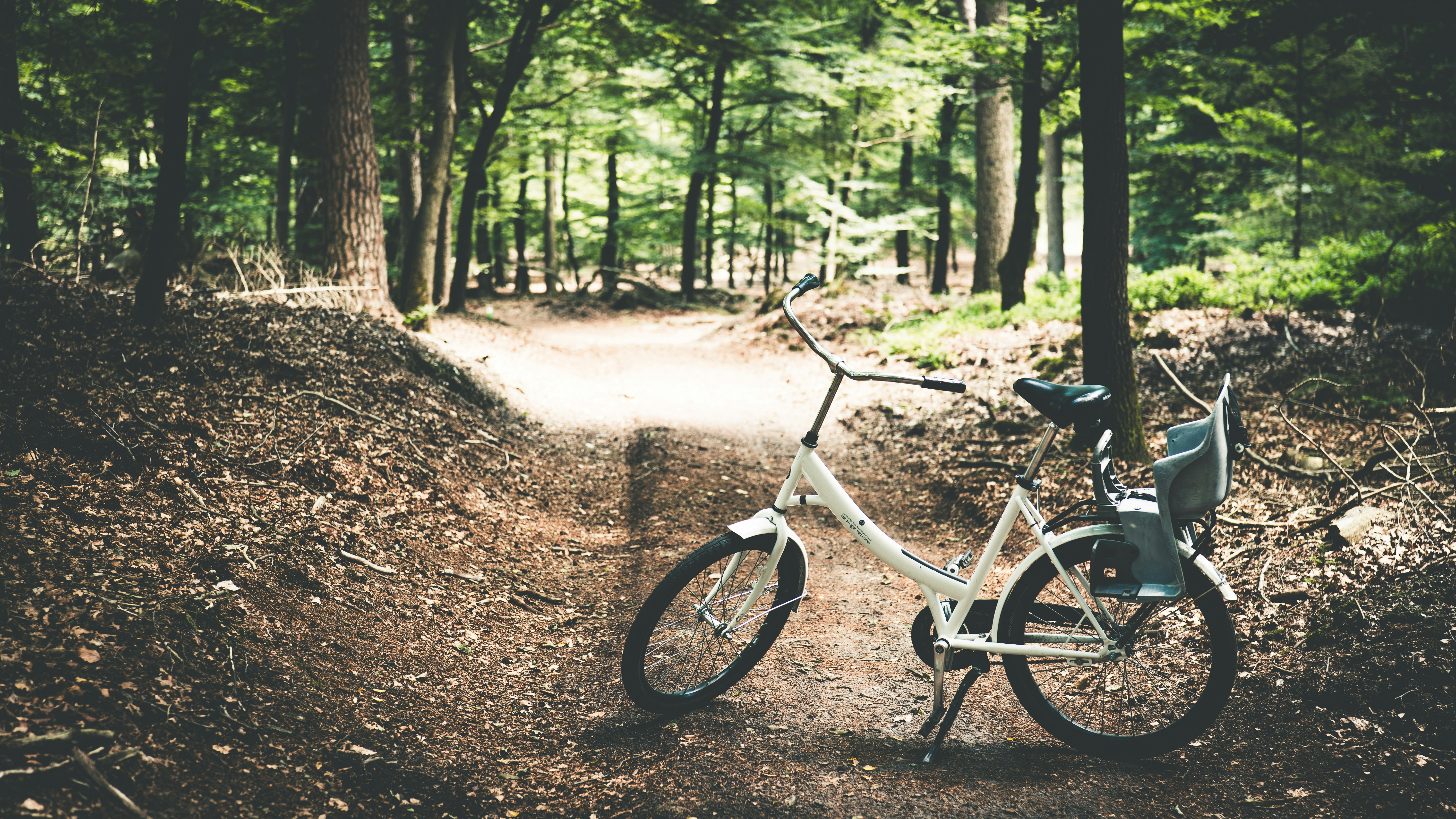 A bicycle rests on a dirt path in a forest.