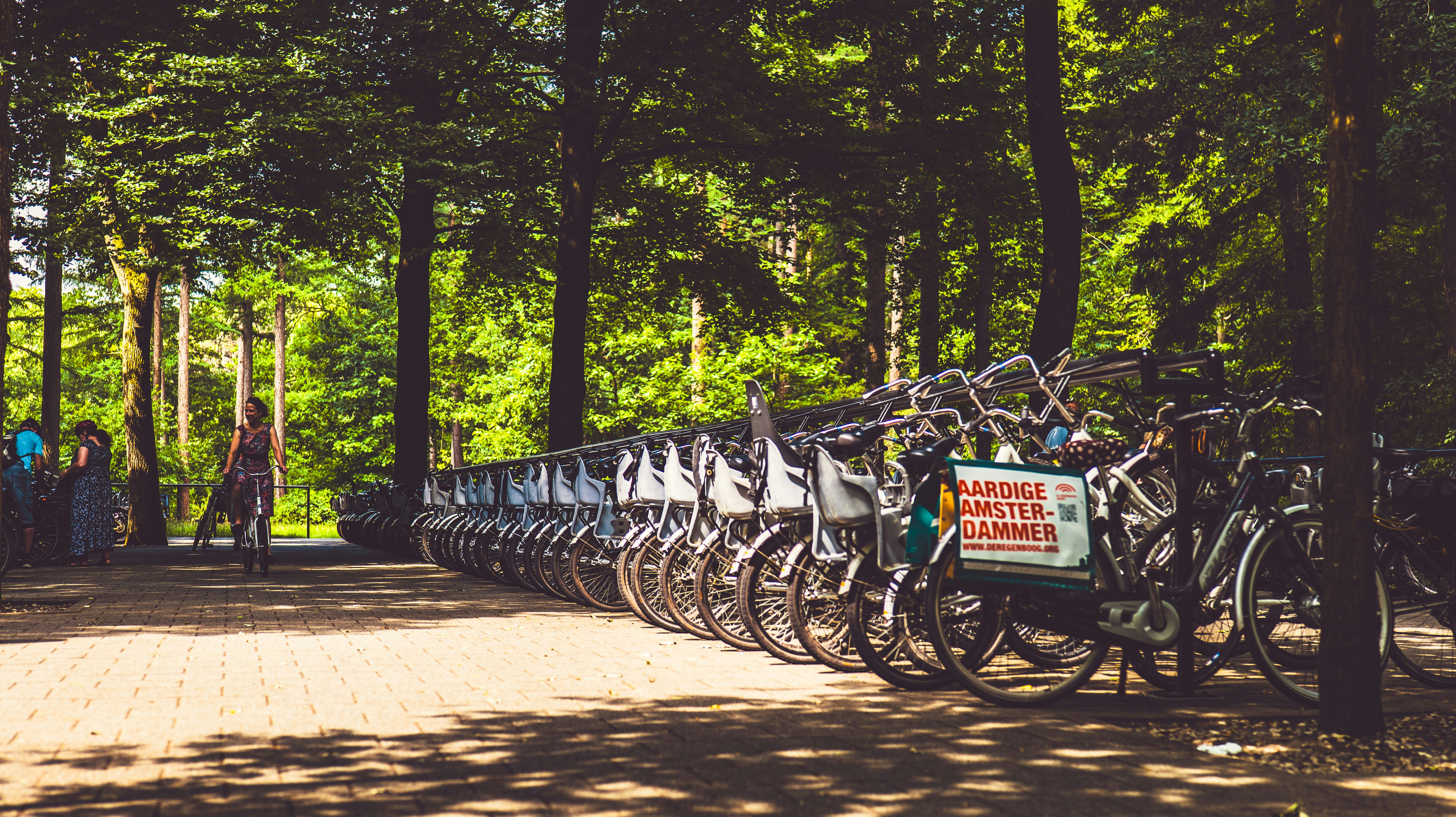 Row of parked bicycles in a sunny park.