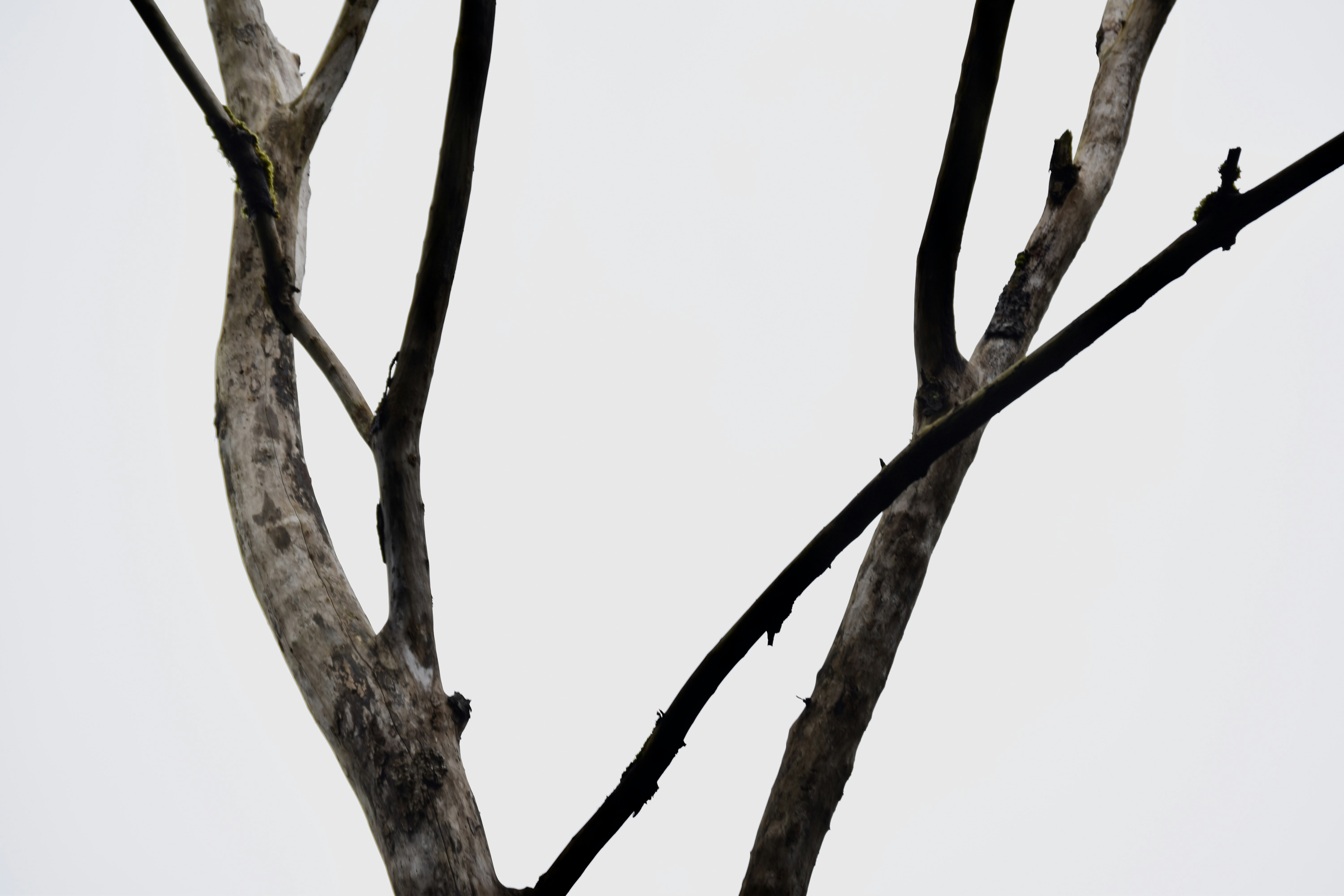 Photo by max_brindley