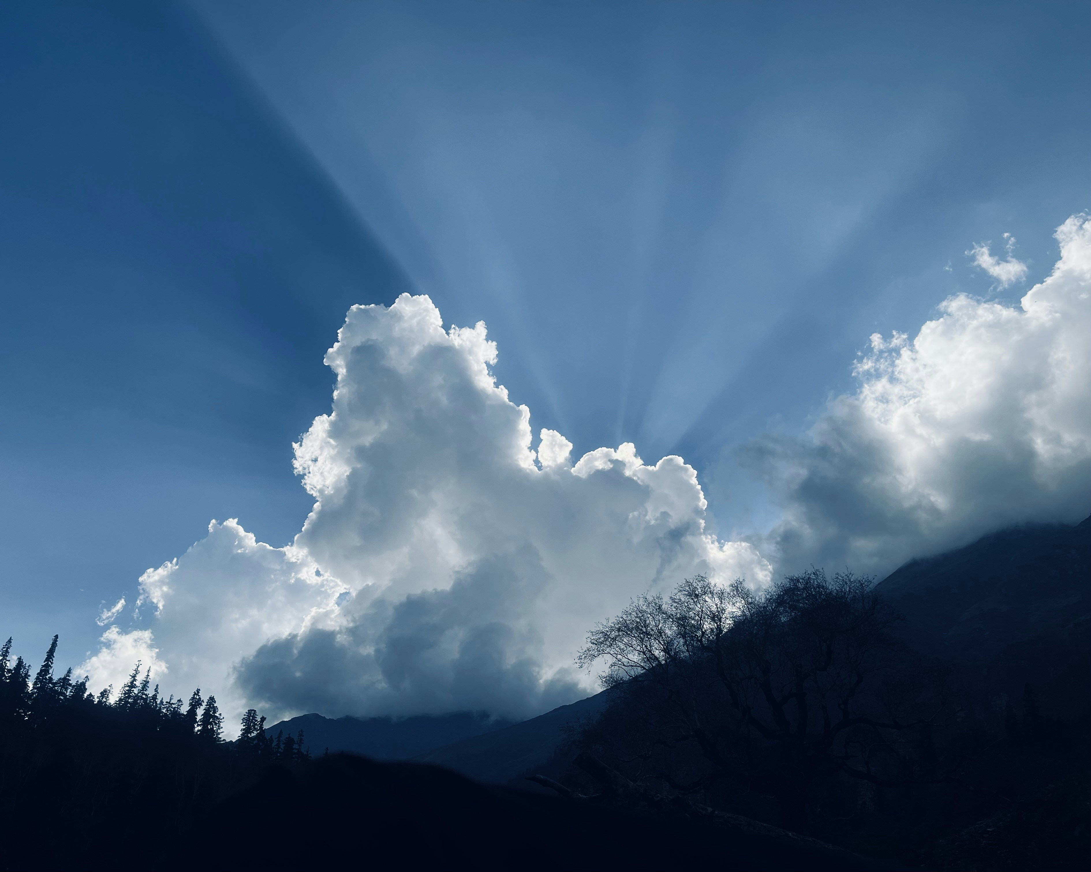 Photo by Vishwasa Navada K