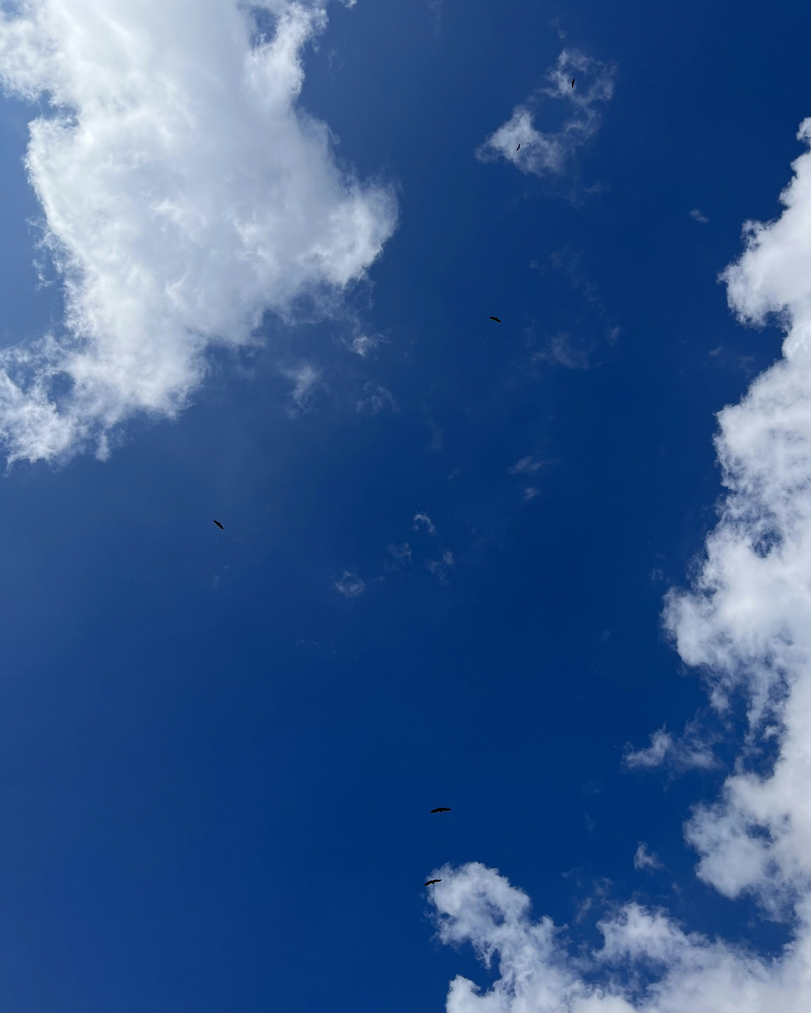 Photo by Vishwasa Navada K