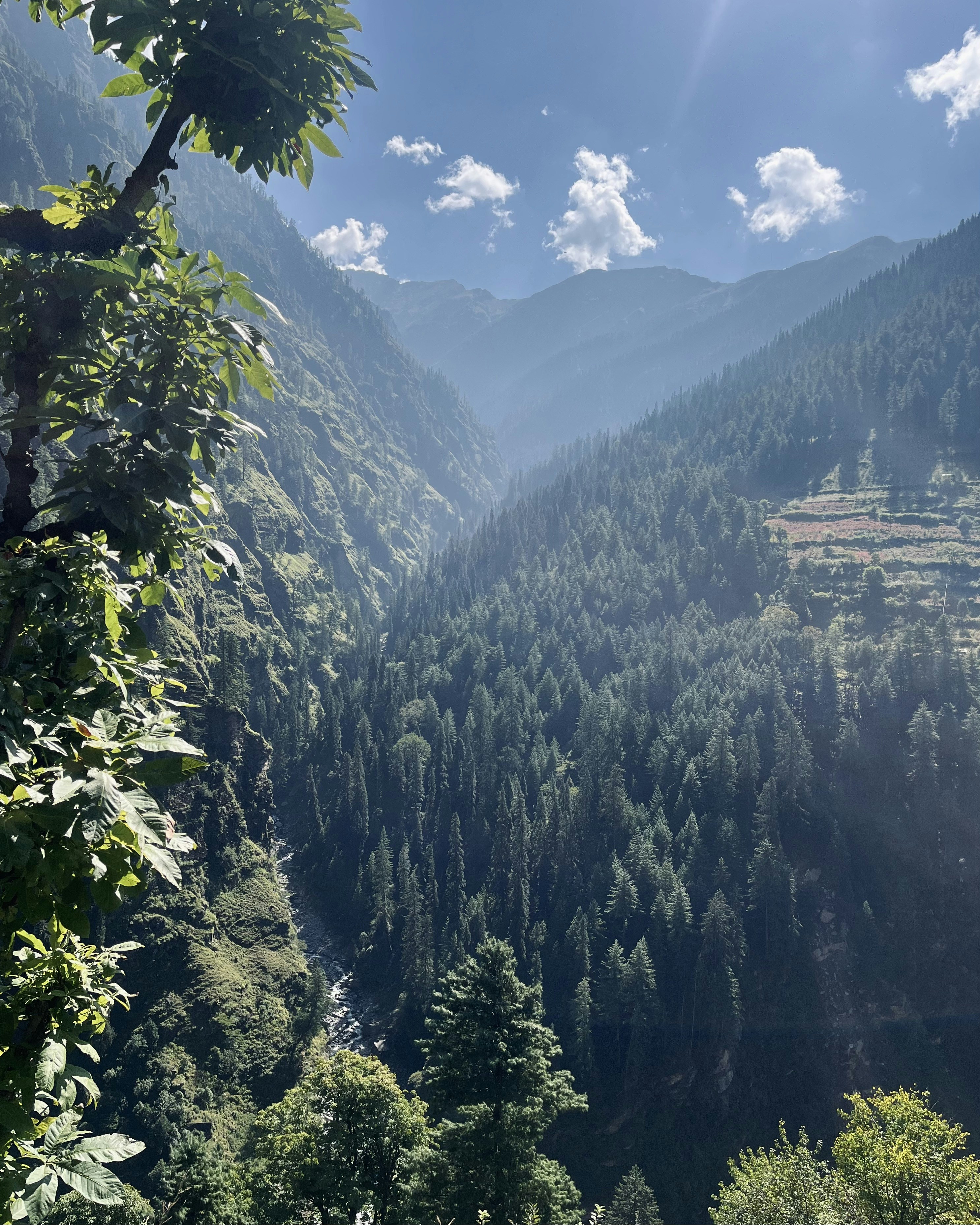 Photo by Vishwasa Navada K