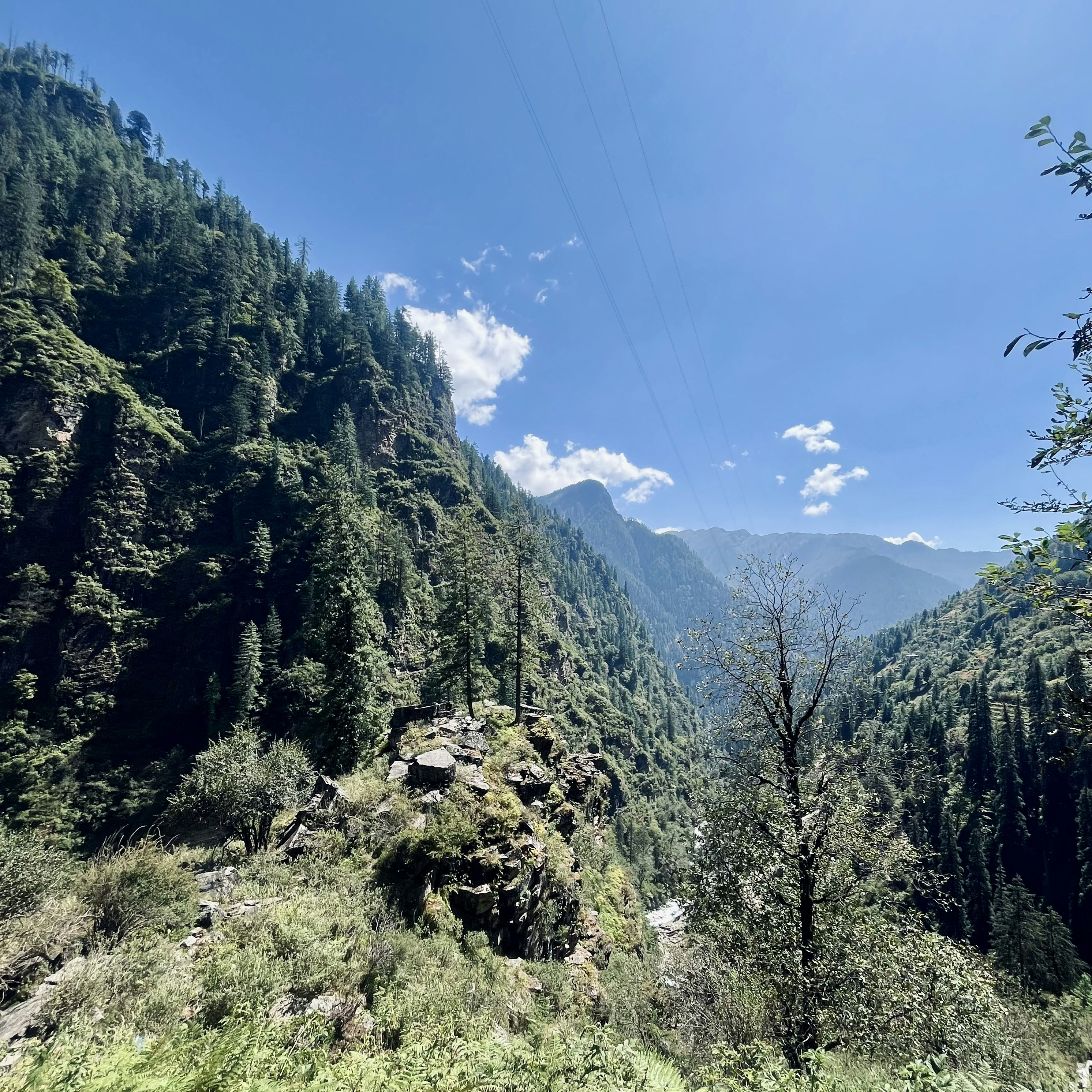 Photo by Vishwasa Navada K