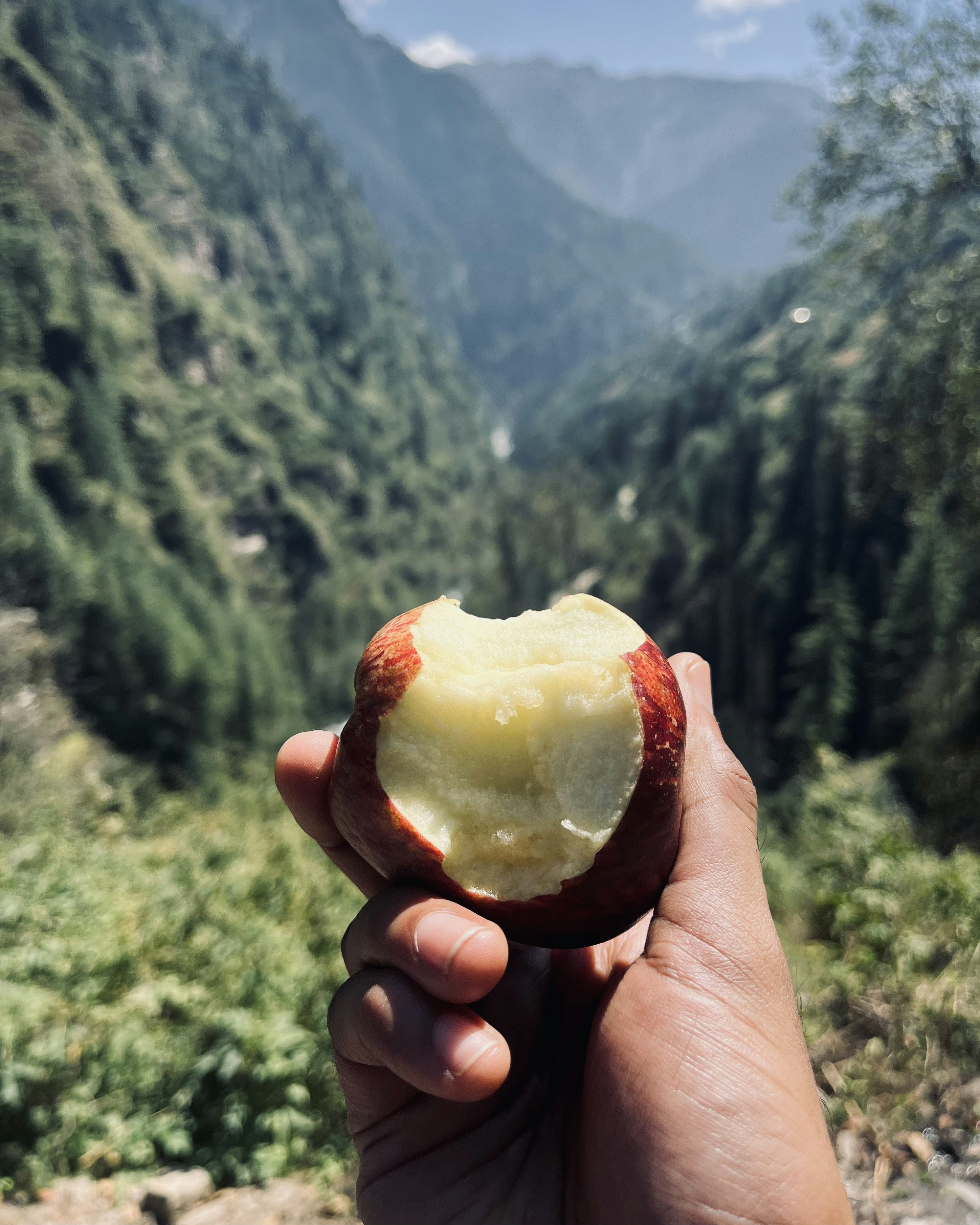 Photo by Vishwasa Navada K