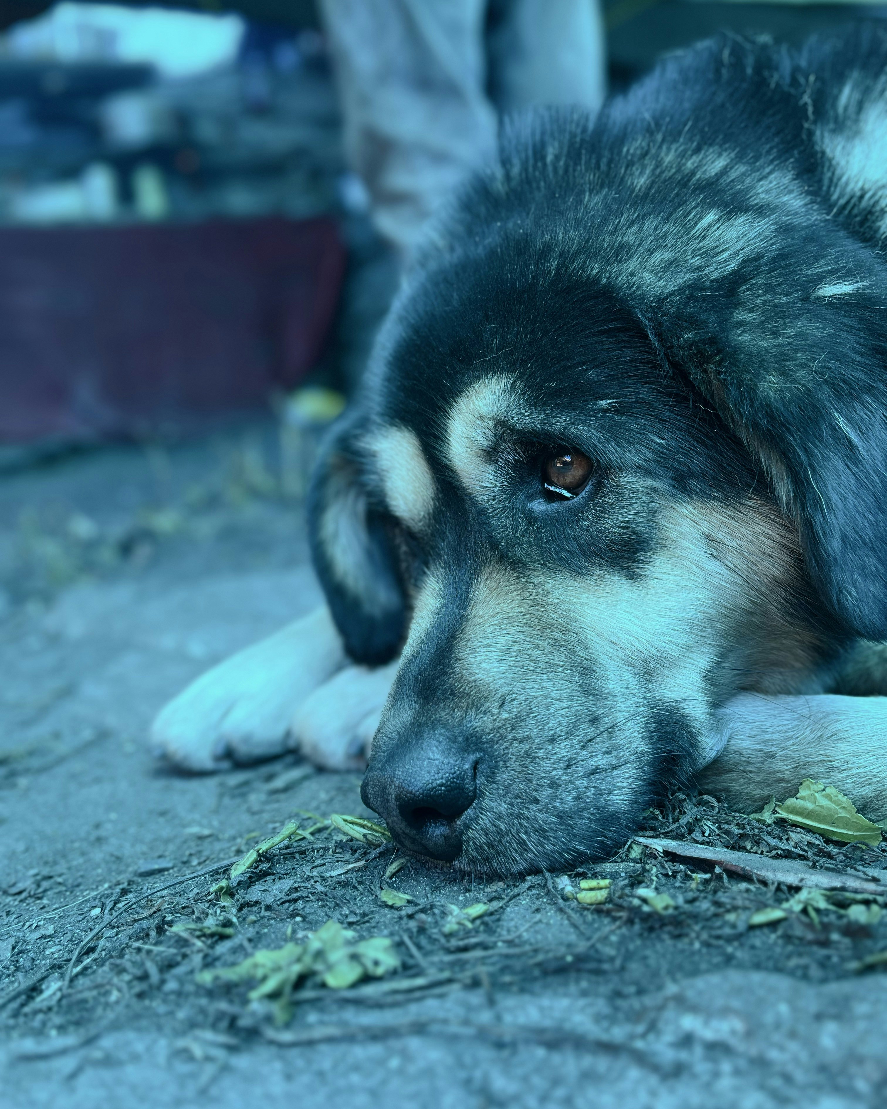 Photo by Vishwasa Navada K