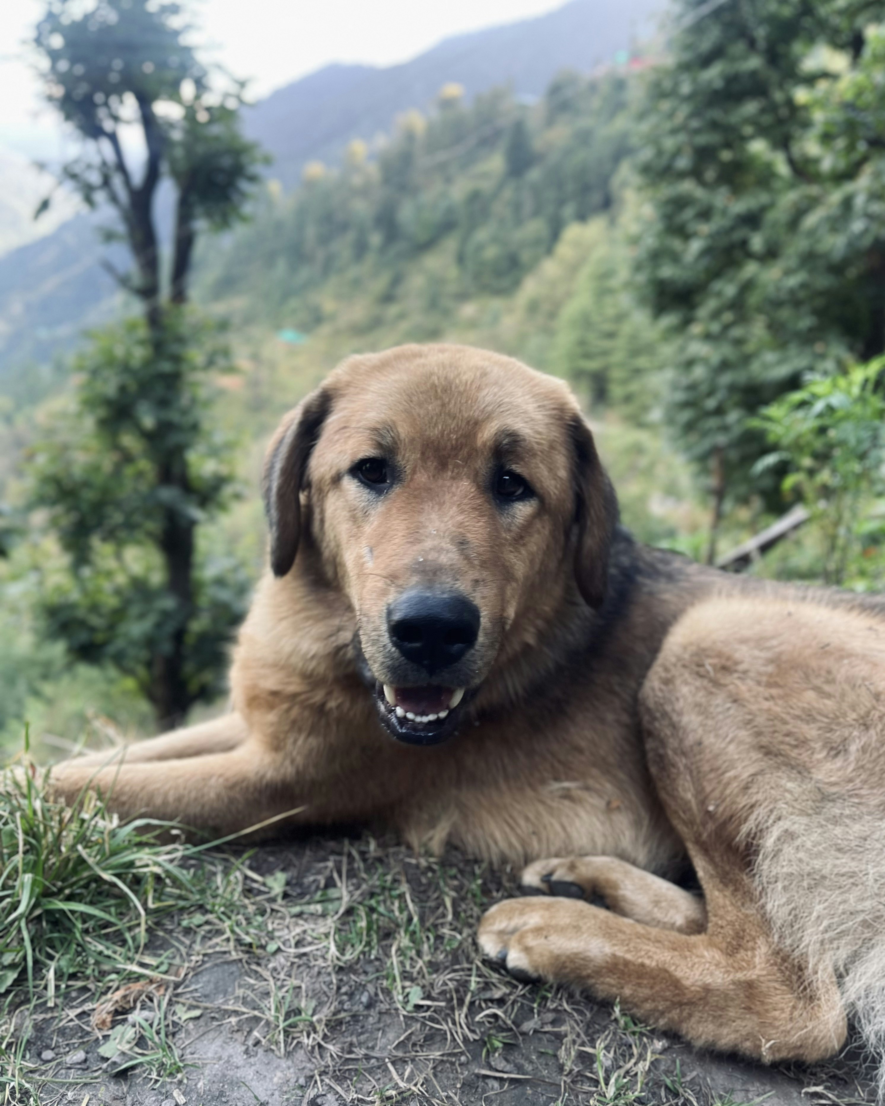 Photo by Vishwasa Navada K