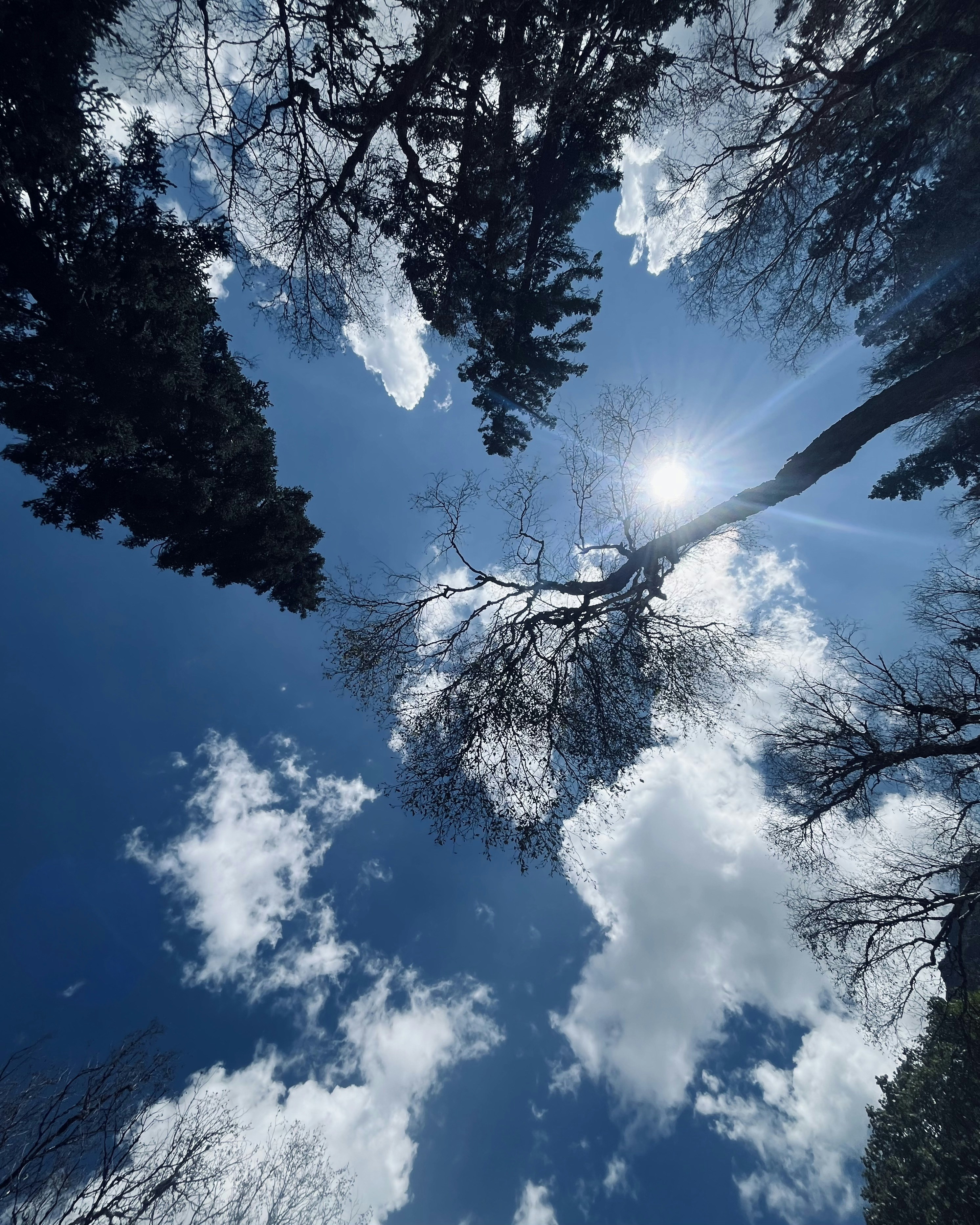 Photo by Vishwasa Navada K