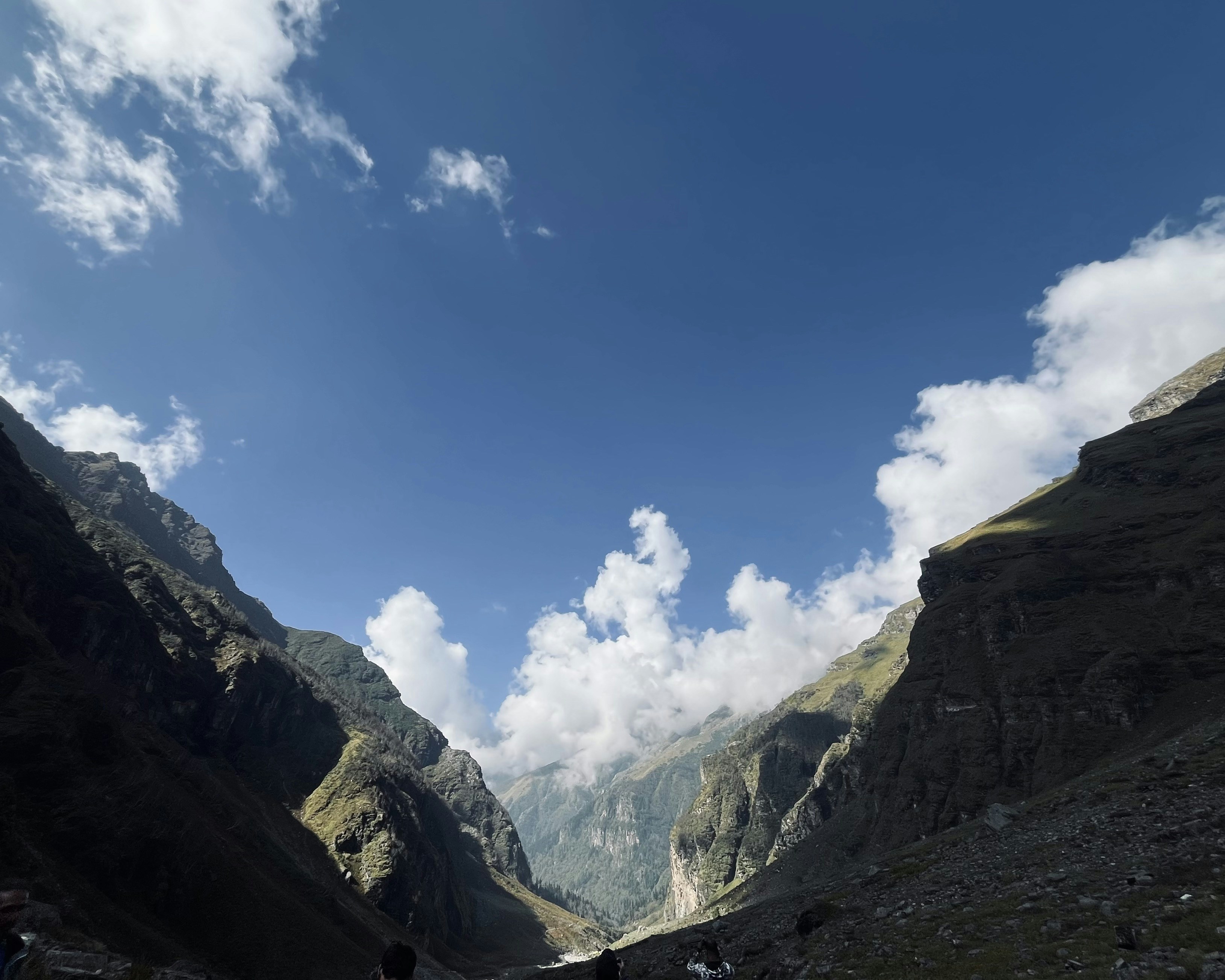 Photo by Vishwasa Navada K