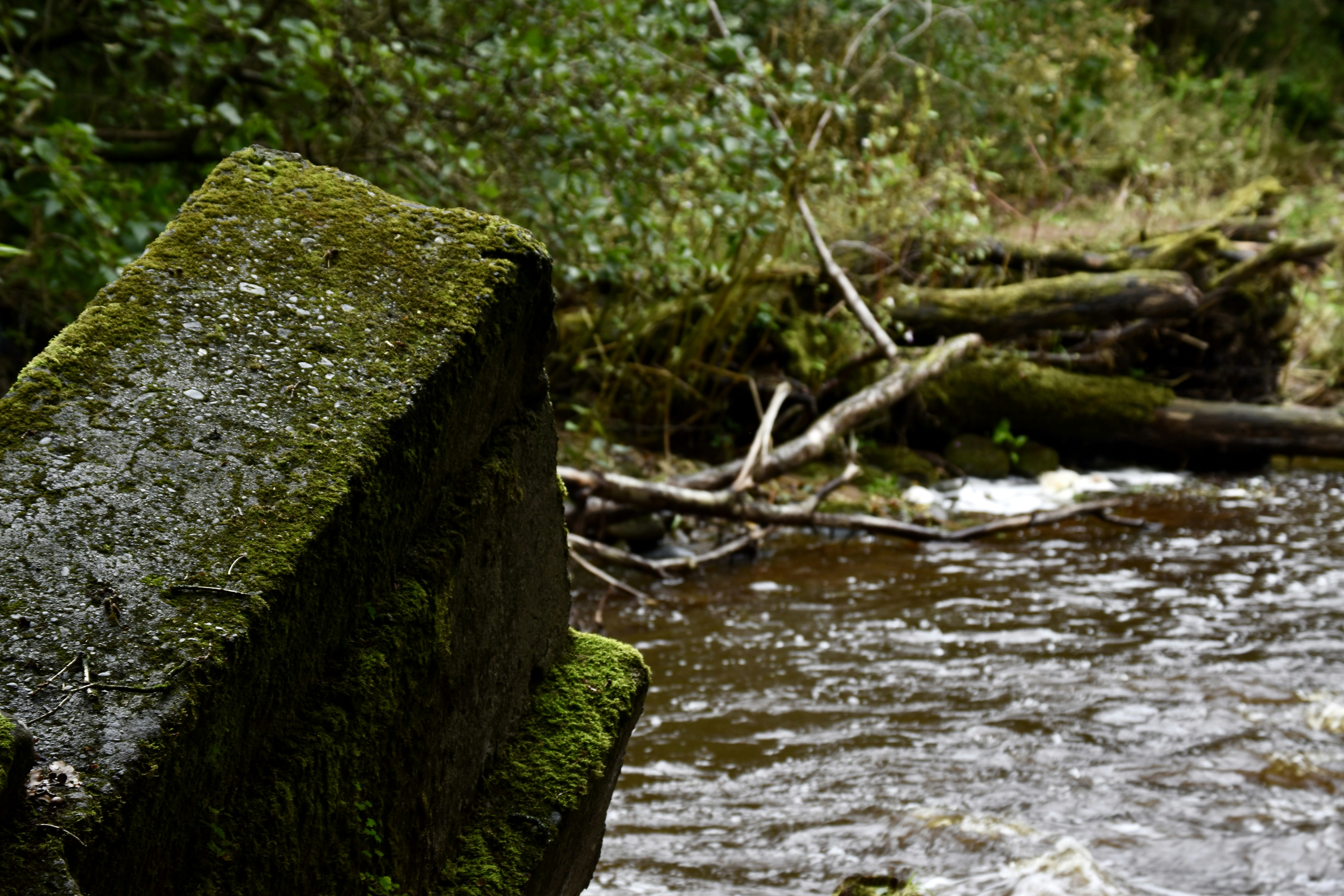 Photo by max_brindley