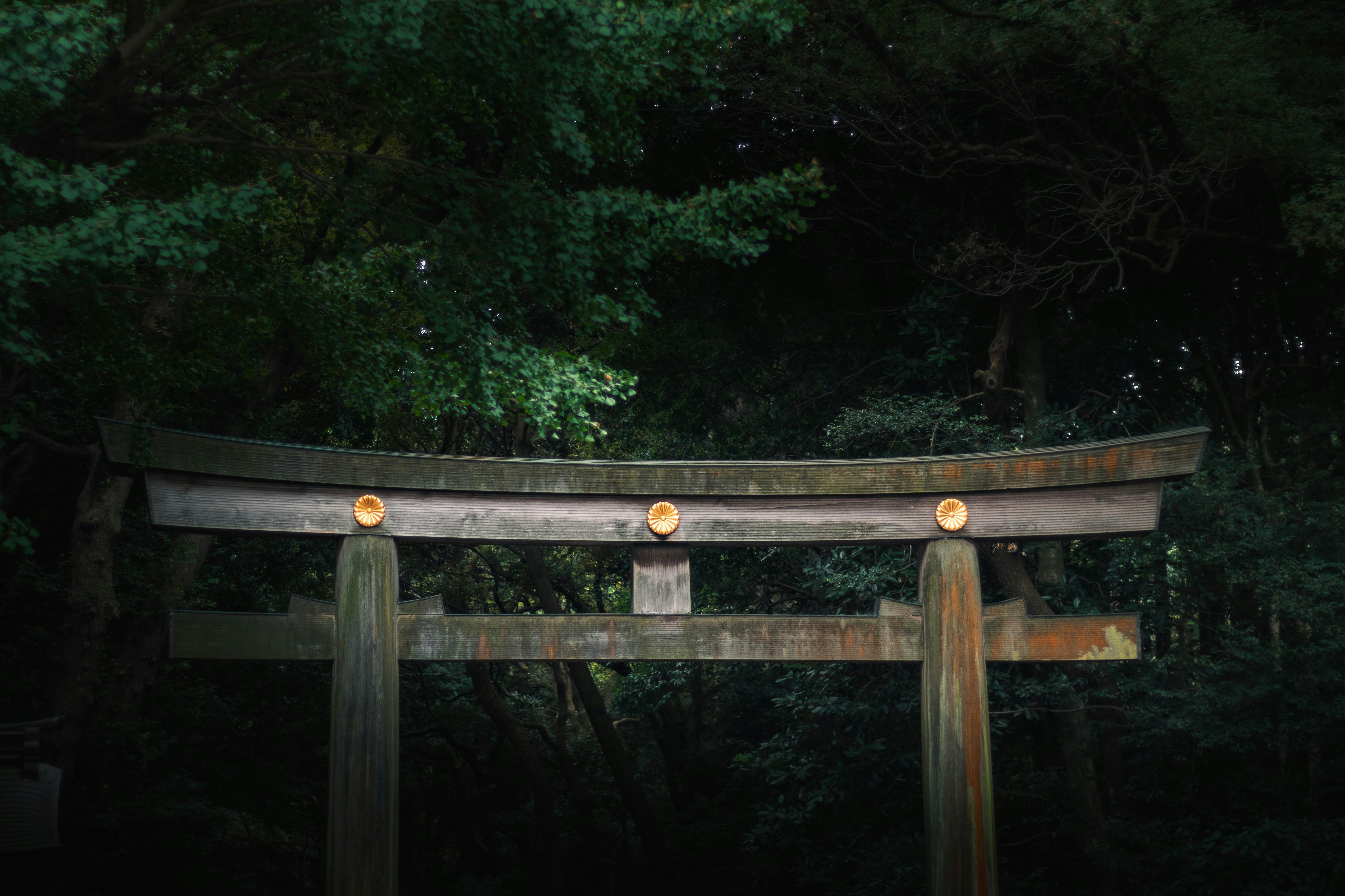 Meiji Jingu Shrine photo 3