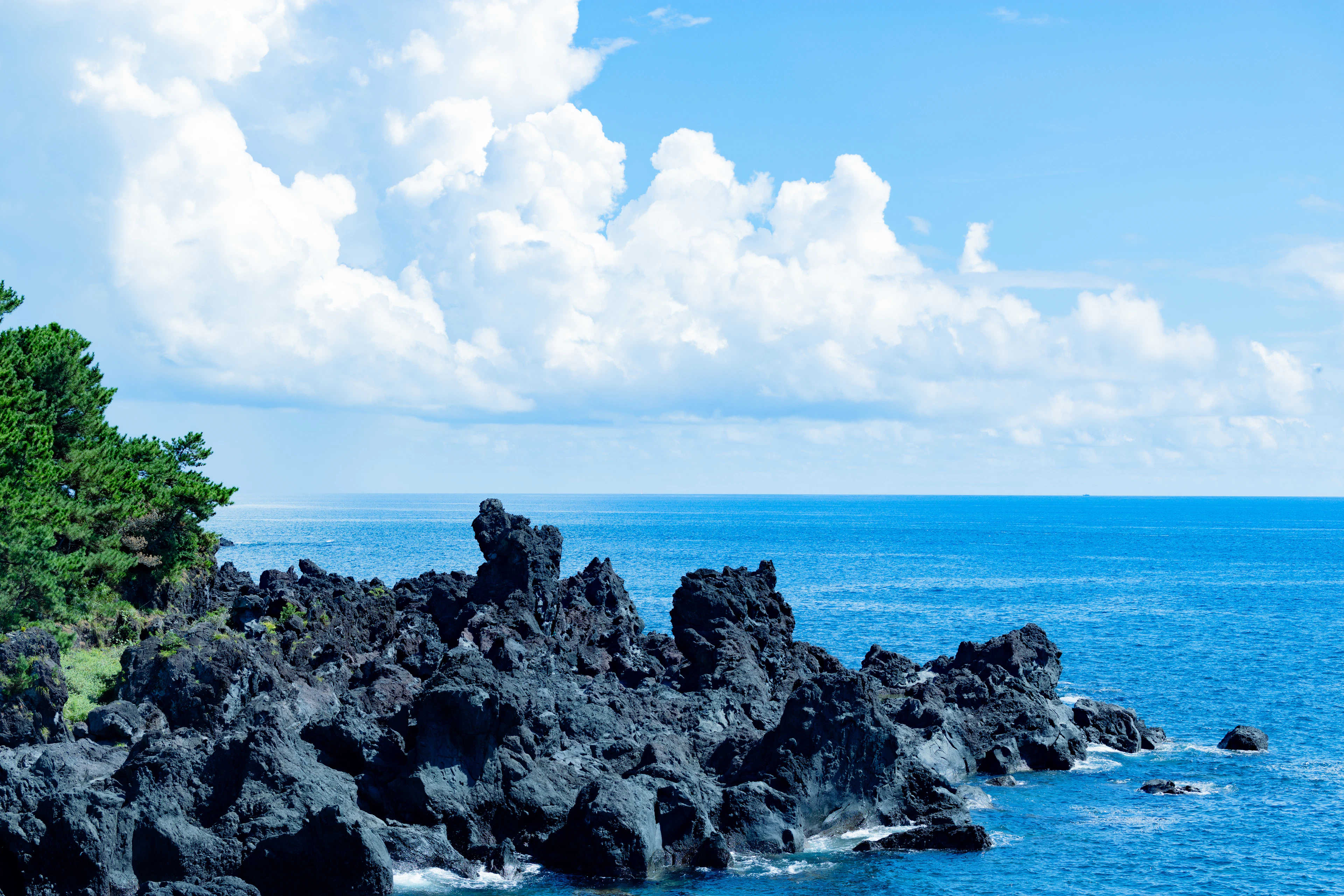 Jagged black lava rocks jut into a turquoise sea beside a pine-covered headland under a blue sky.