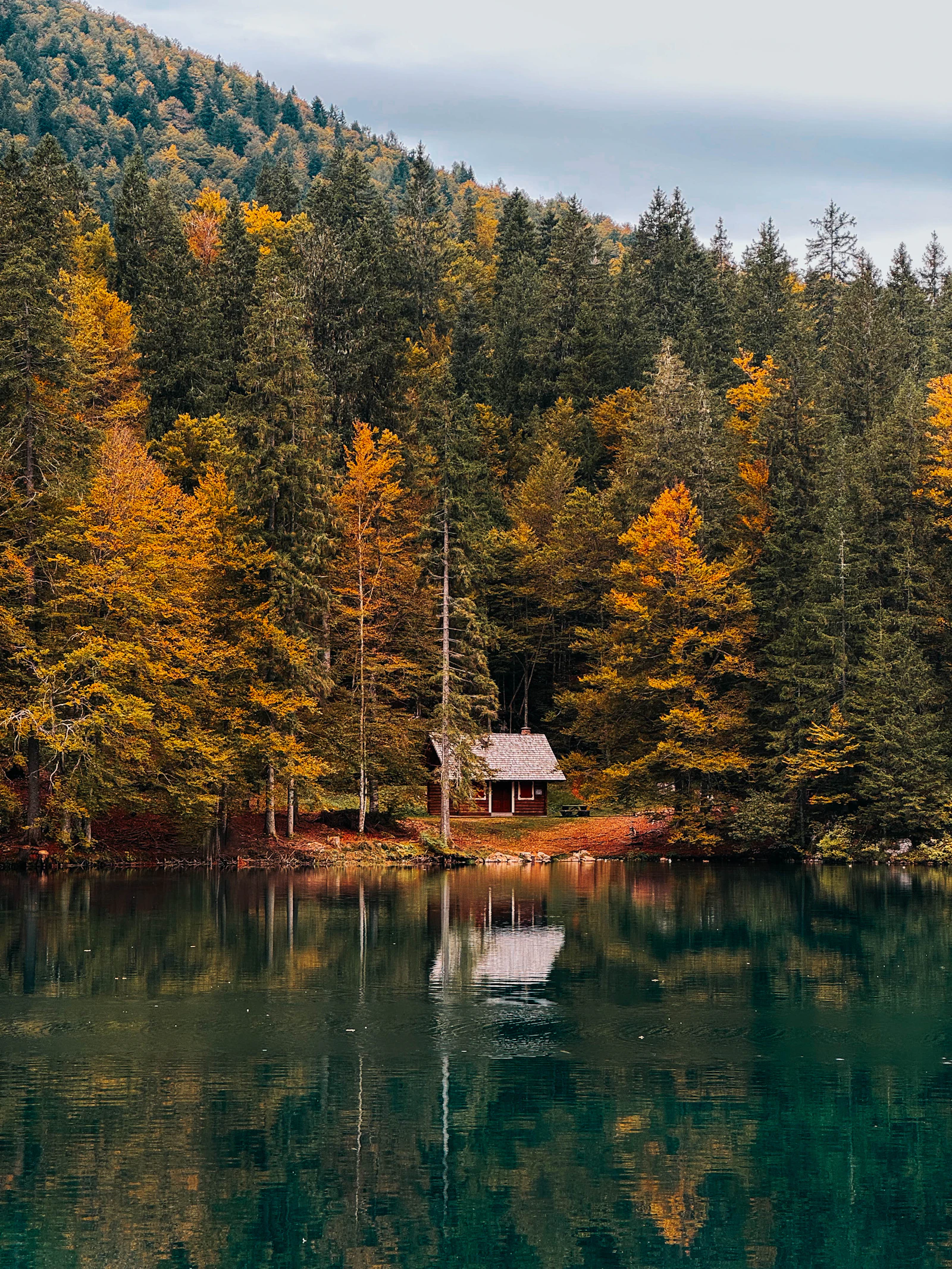 A Lot for a Cottage: Quebec's Draw Is Open