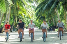 Family cycling on a sandy path lined with palm trees.