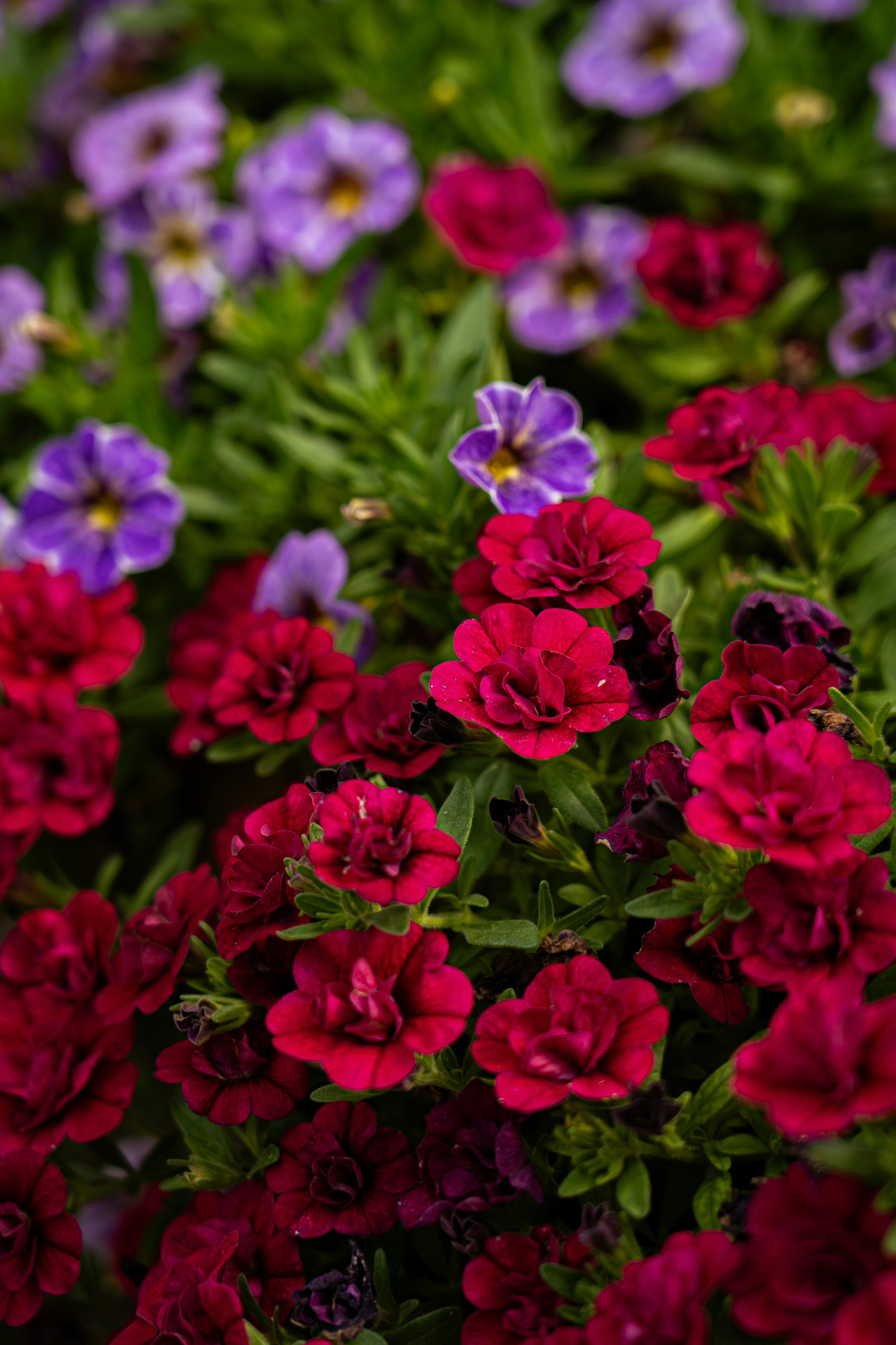 Photo by samuel_hagger