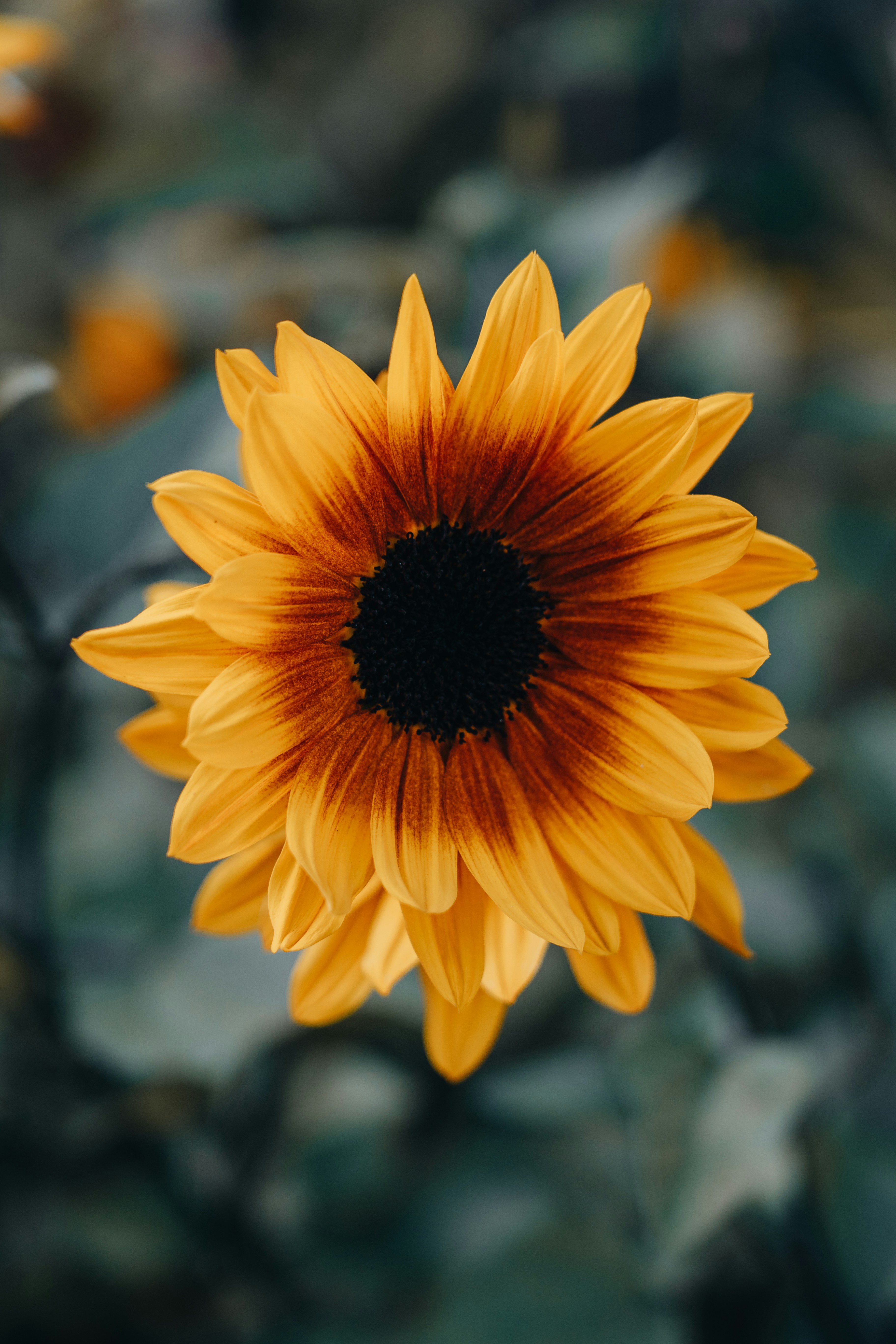 Photo by samuel_hagger