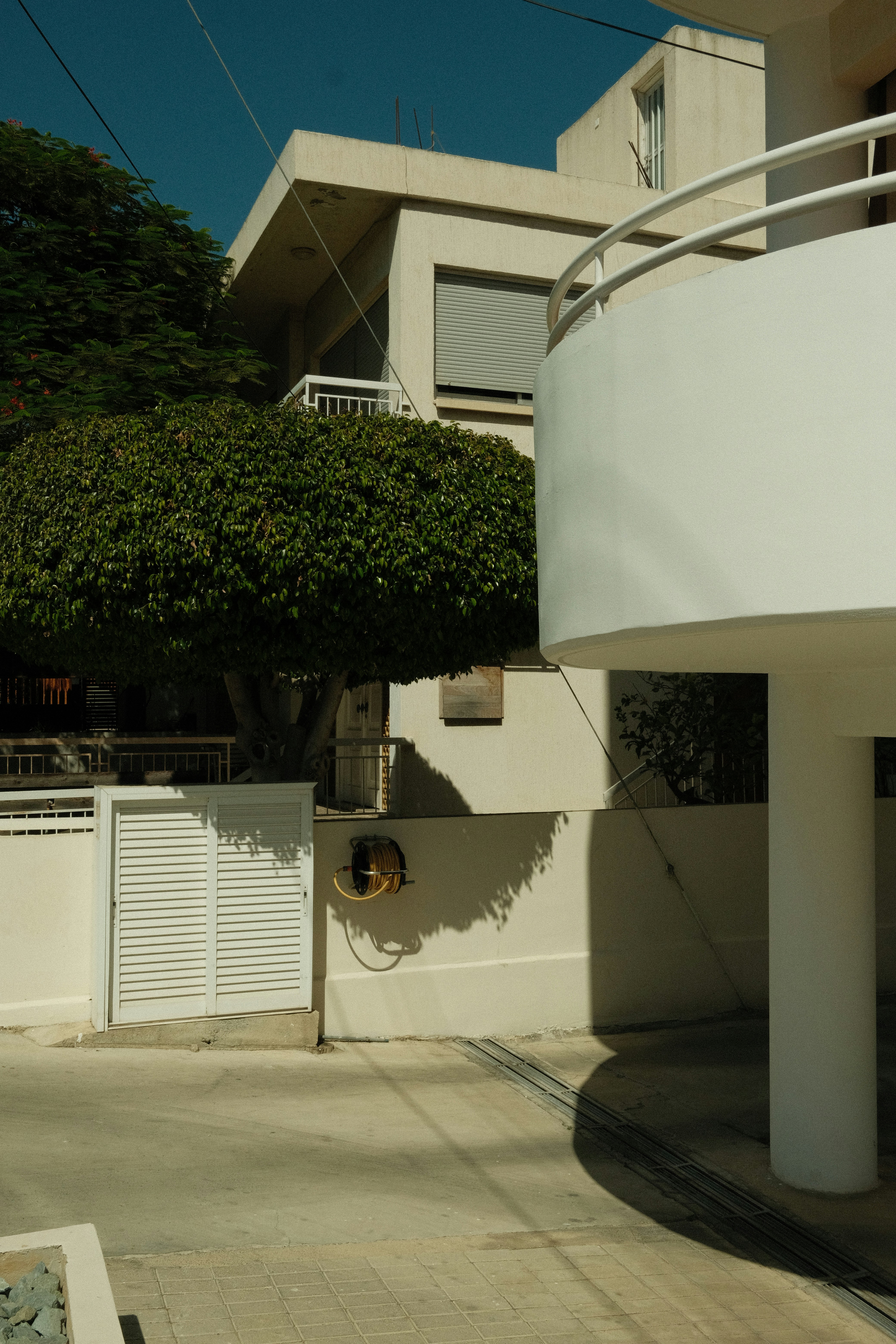 Modern white building with lush green tree
