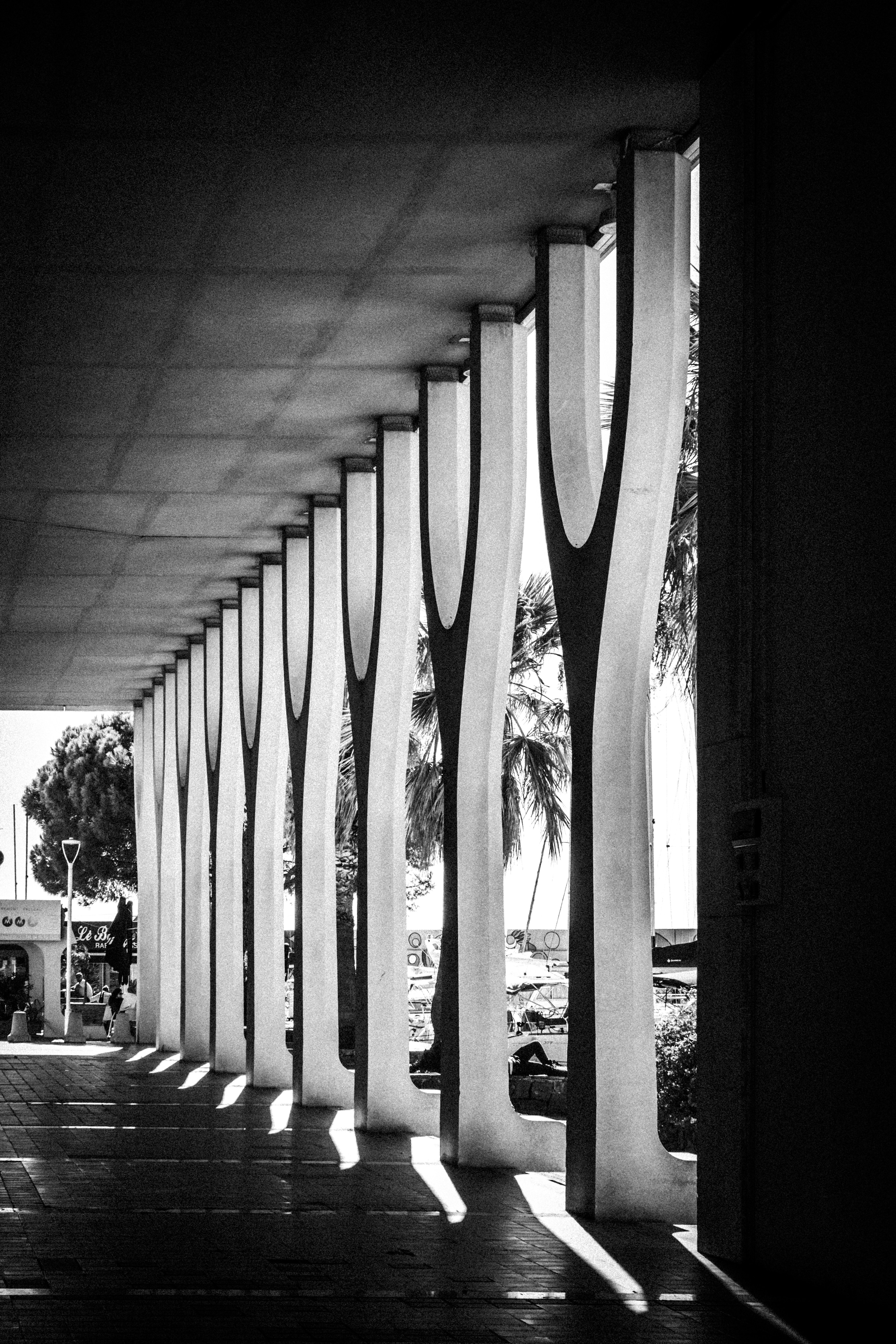 Row of modern concrete columns with shadows.