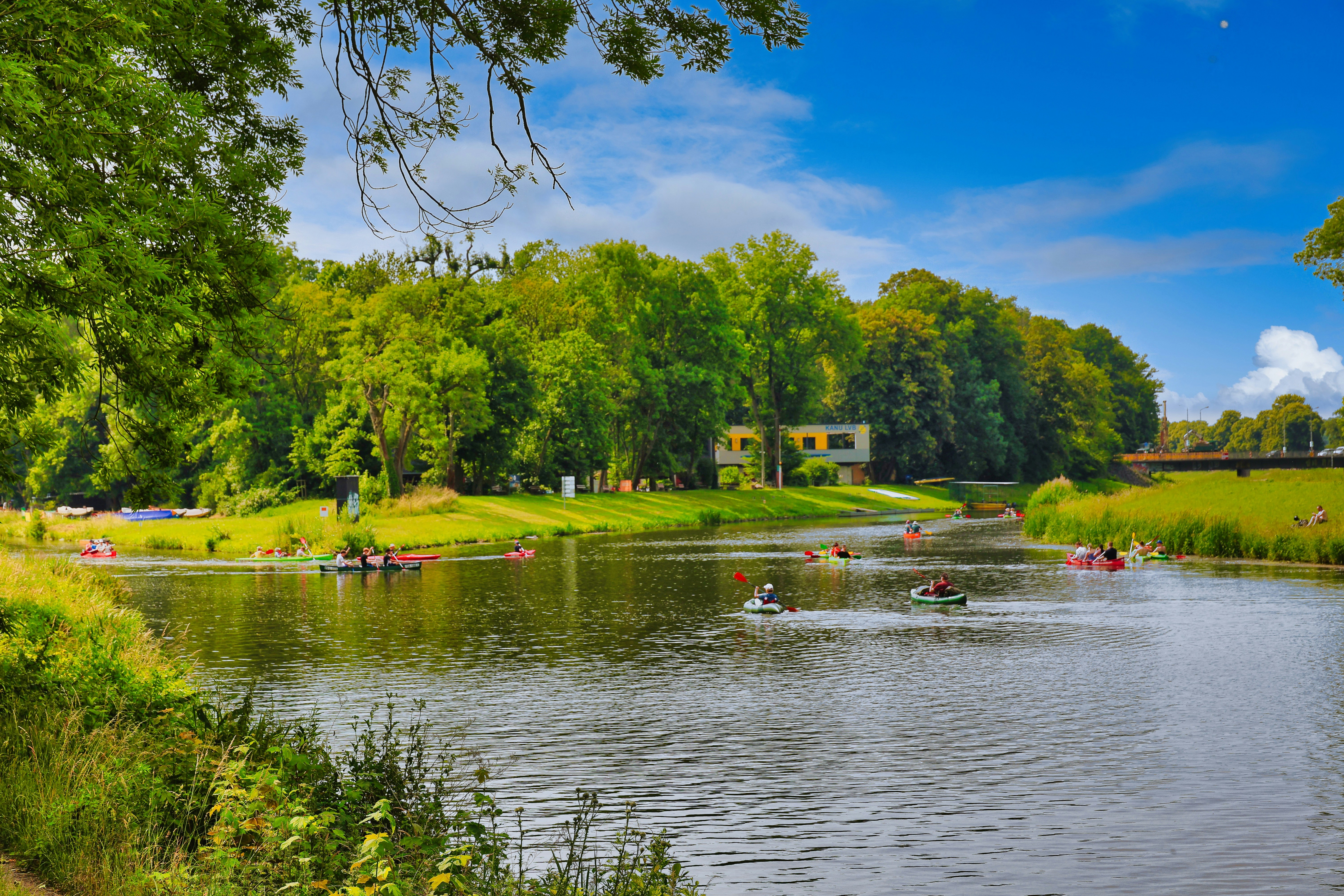 People paddling kayaks on a sunny river with green trees.