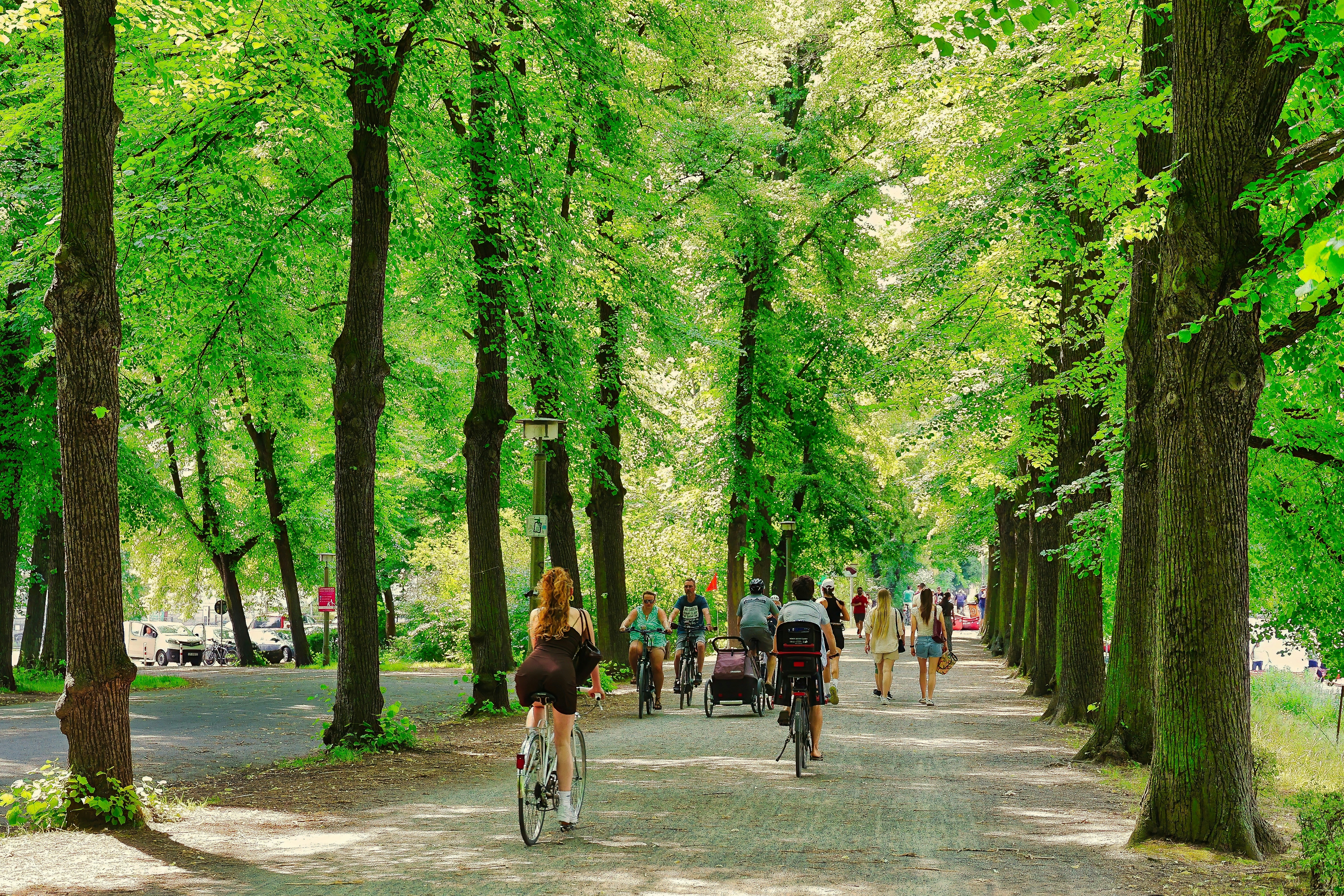 Un dimanche de juin animé au parc Carla-Zeltkin de Leipzig : promeneurs, cyclistes, familles en pique-nique et canoës partagent ce vaste espace vert au cœur de la ville.