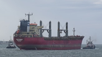 Large red cargo ship guided by two tugboats at sea