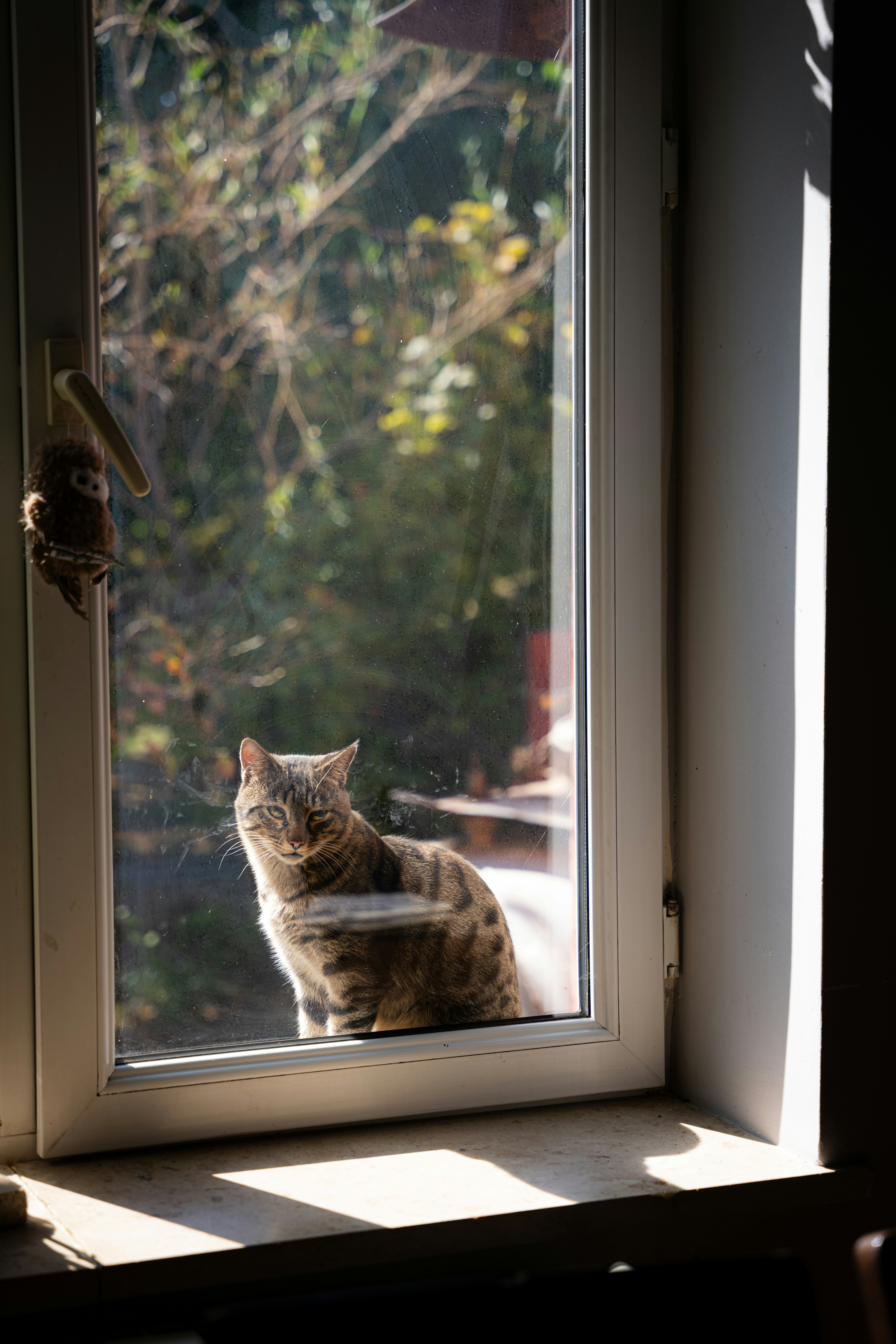 Photo by nellie_adamyan