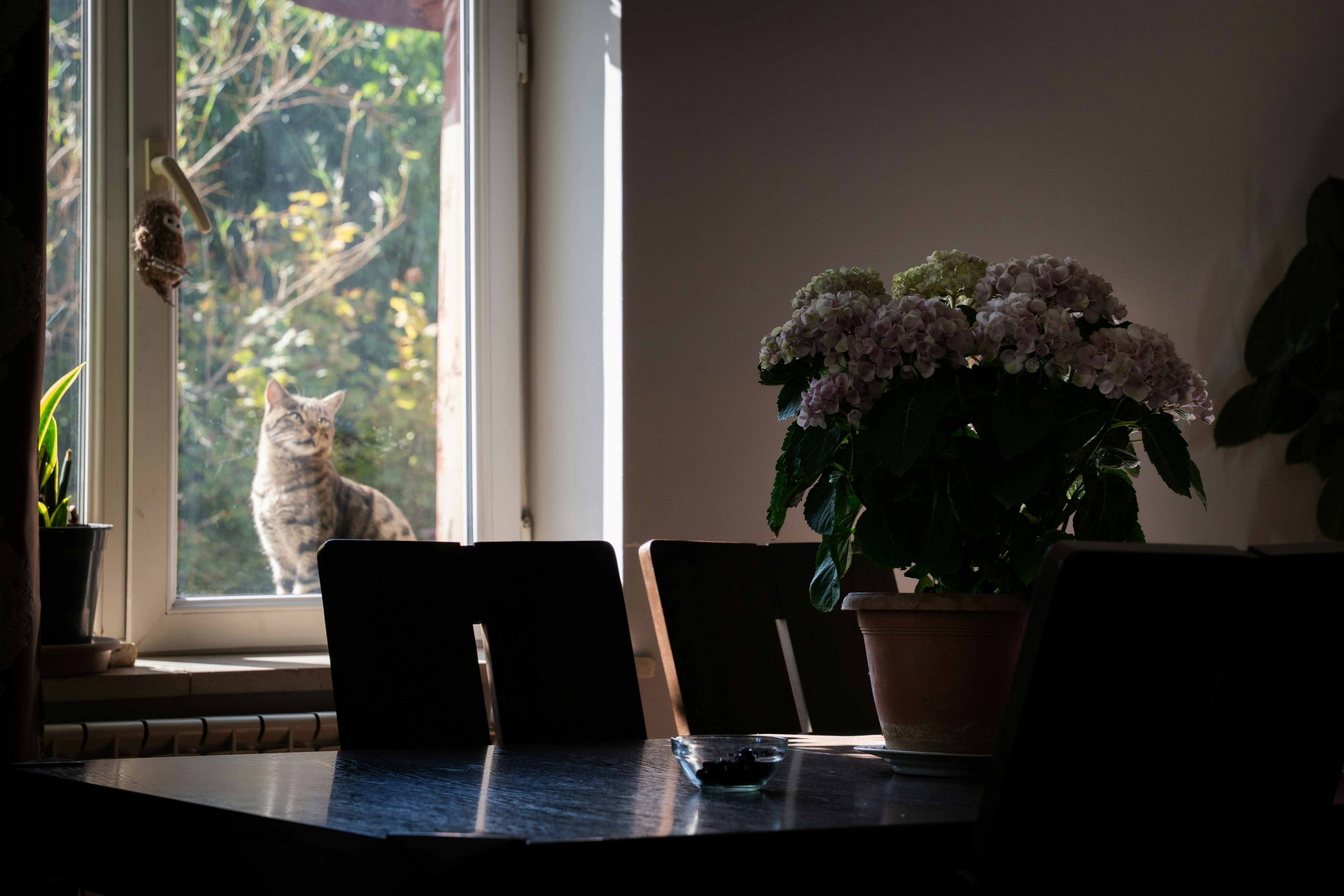 Photo by nellie_adamyan