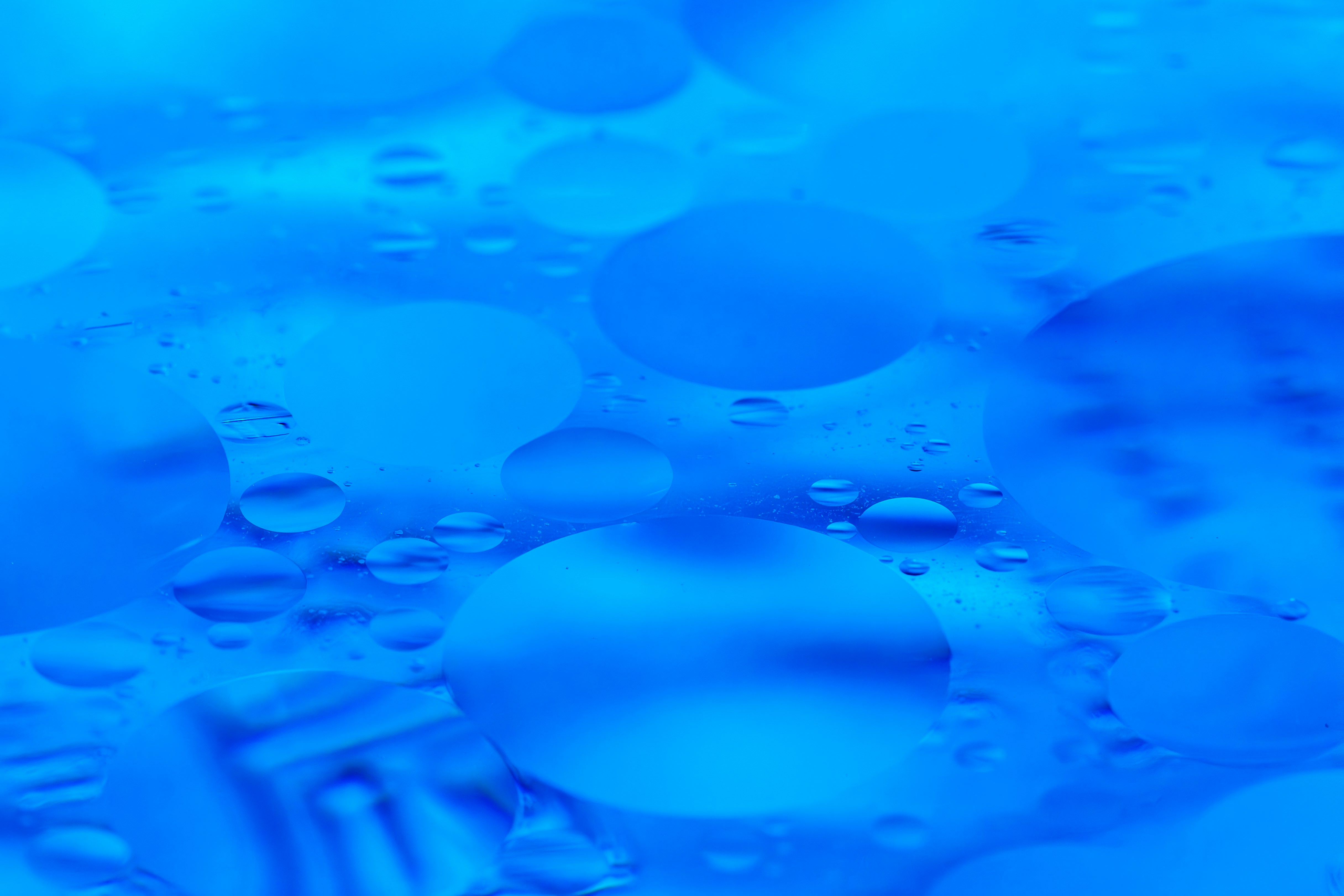 Photo by shibinjoseph