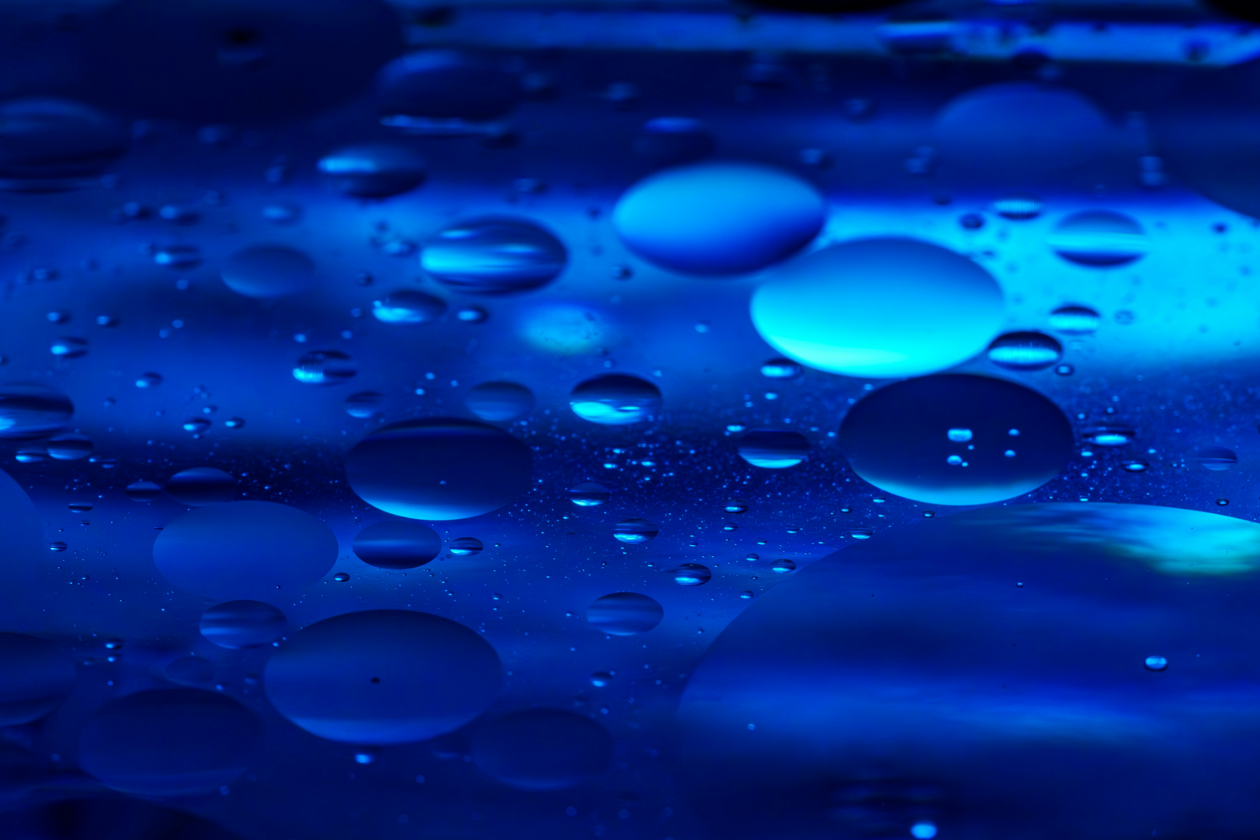 Photo by shibinjoseph