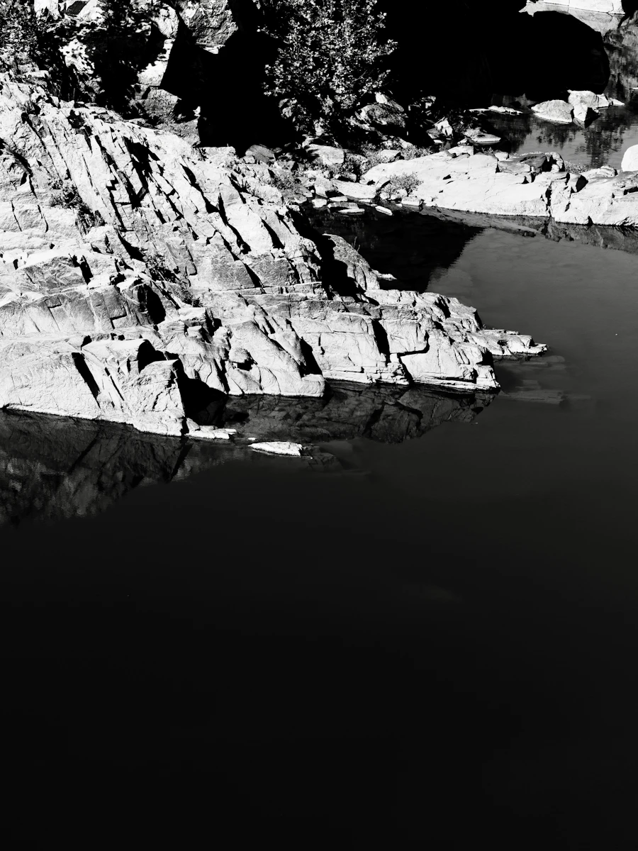 evening · the shoreline