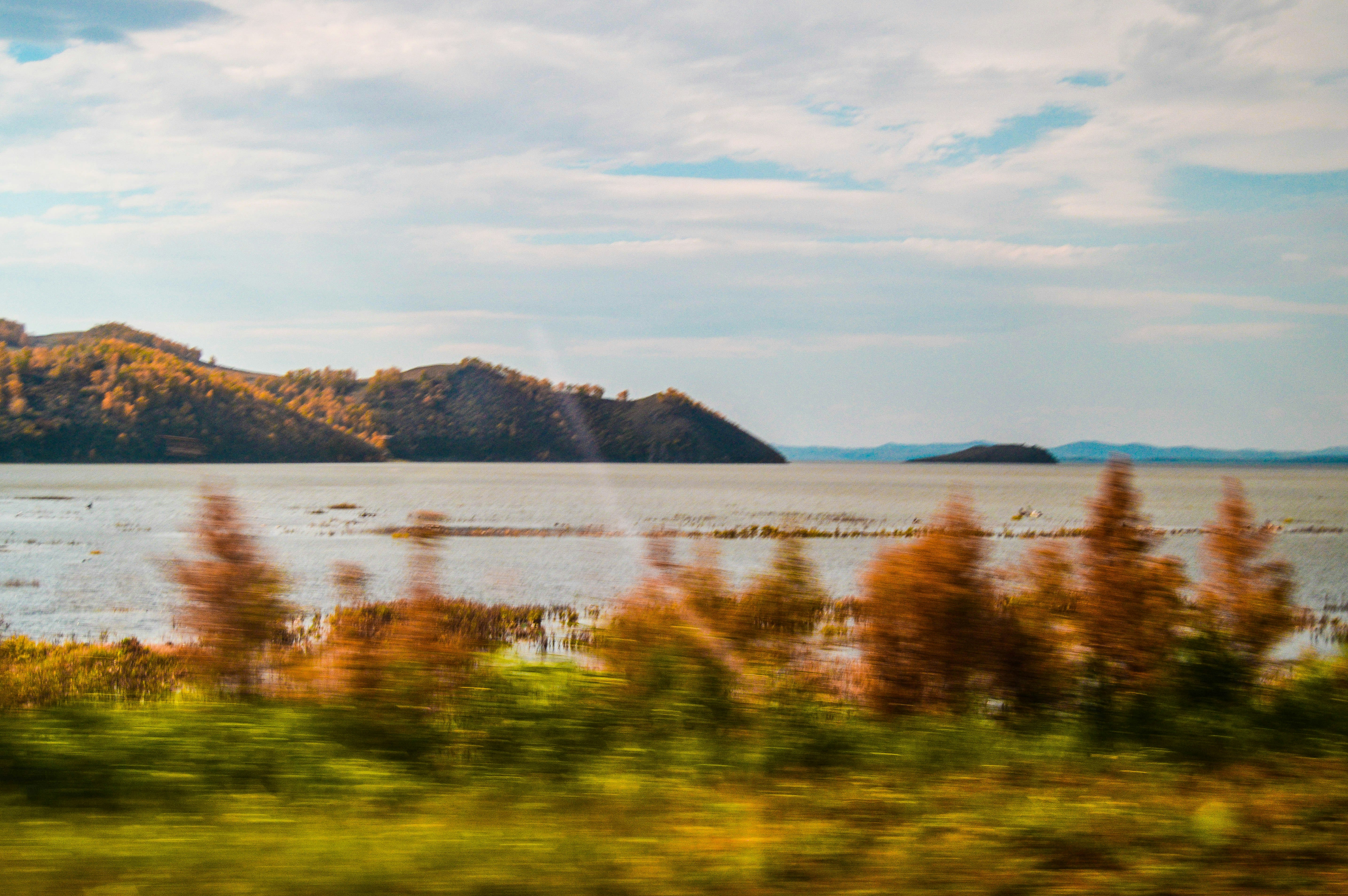 Autumn trees line a calm body of water. 풍경 사진