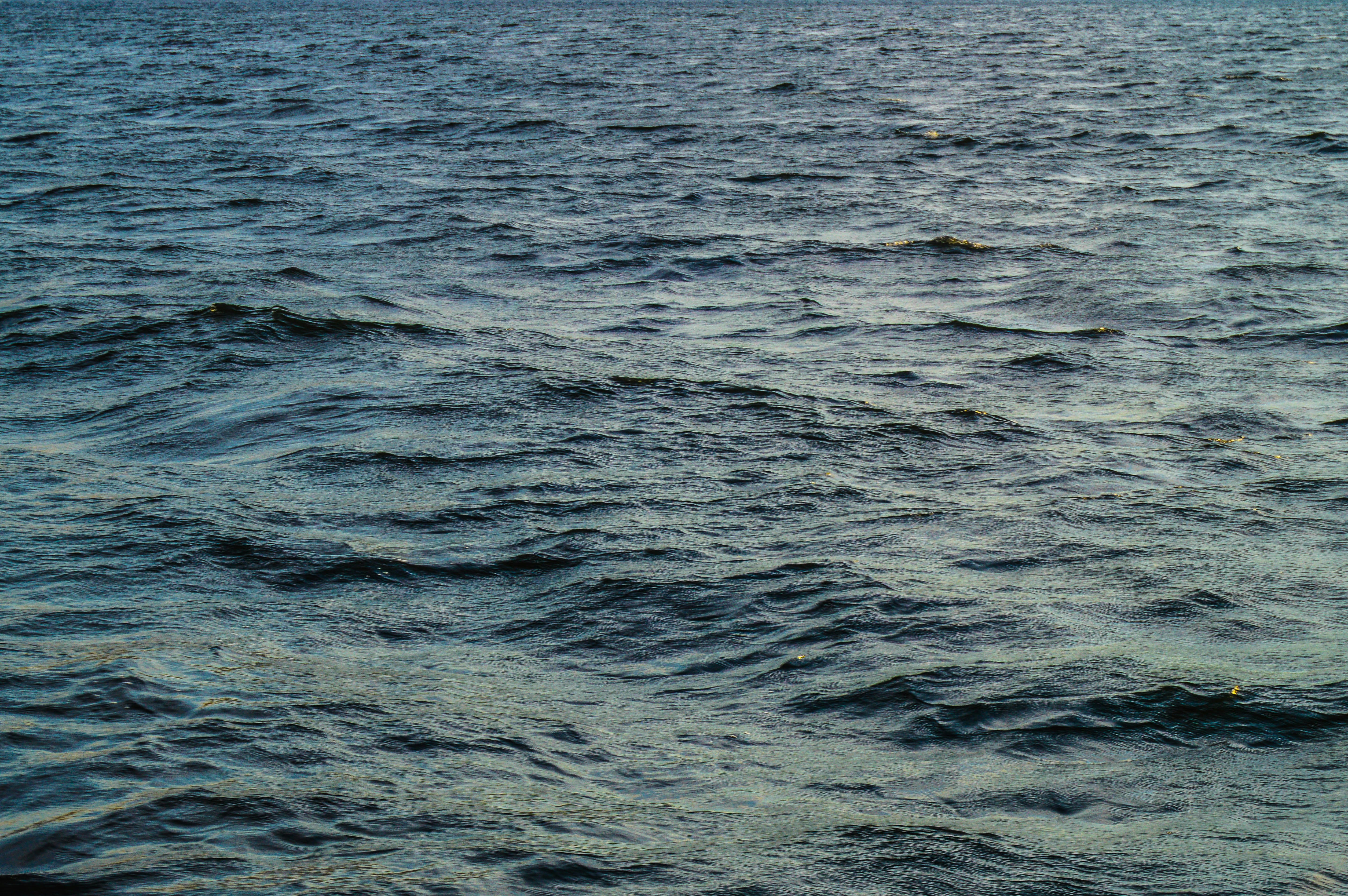 Rippling blue ocean water under soft light