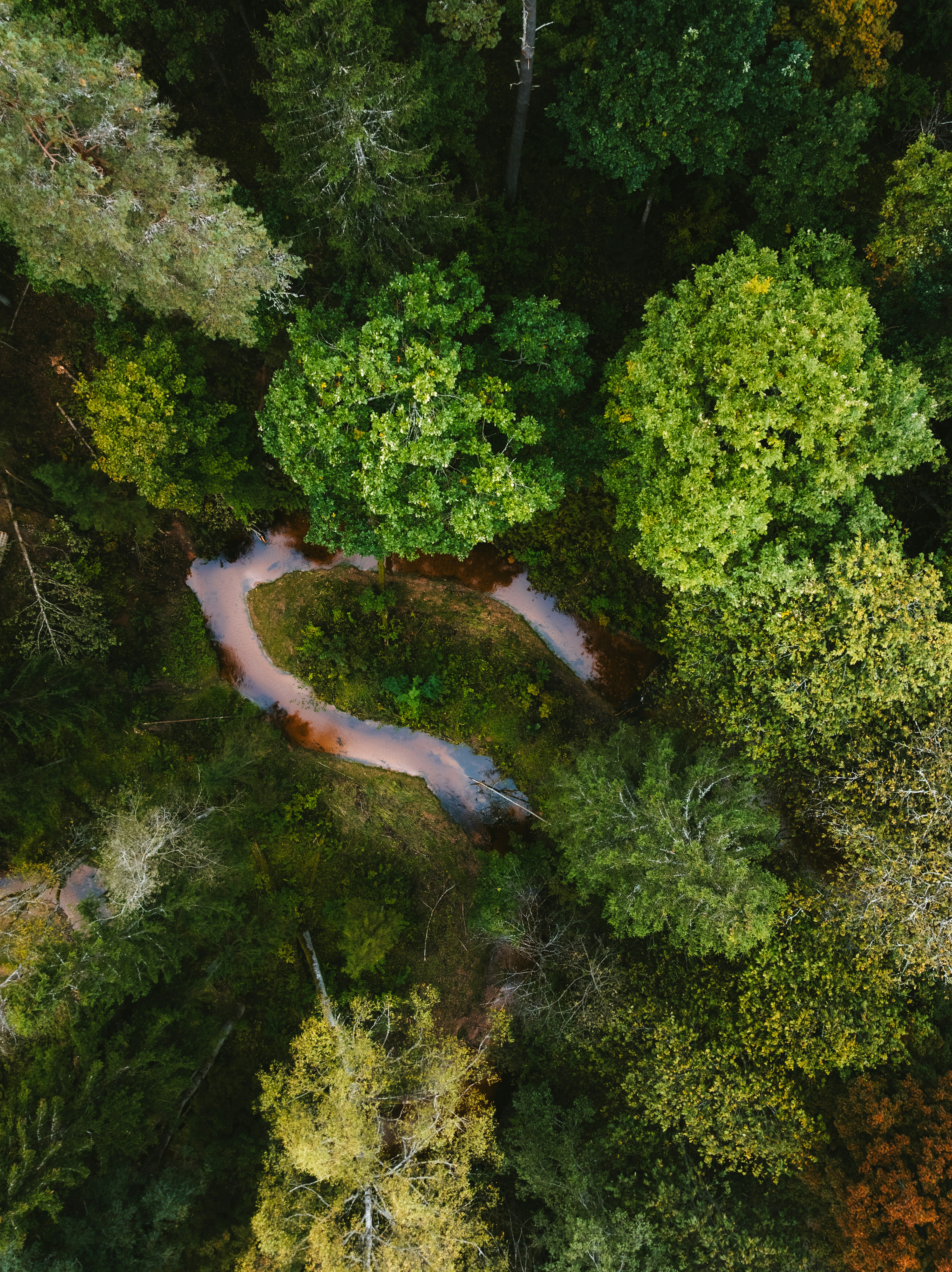 Photo by kristapsungurs