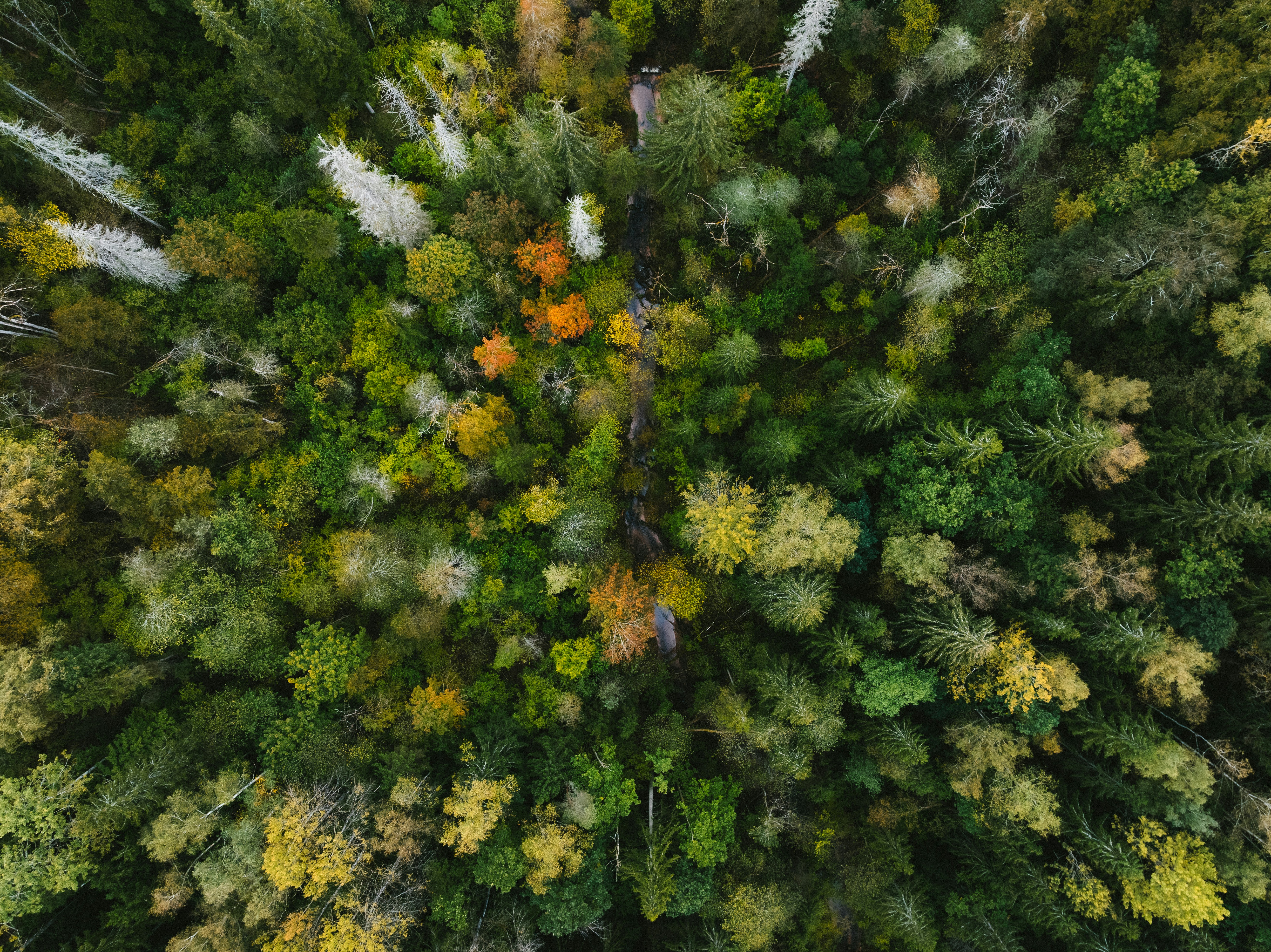 Replica Hermès Handbags: The Definitive Guide to Luxury Within Reach

By Clara | Brand: replica hermes bags