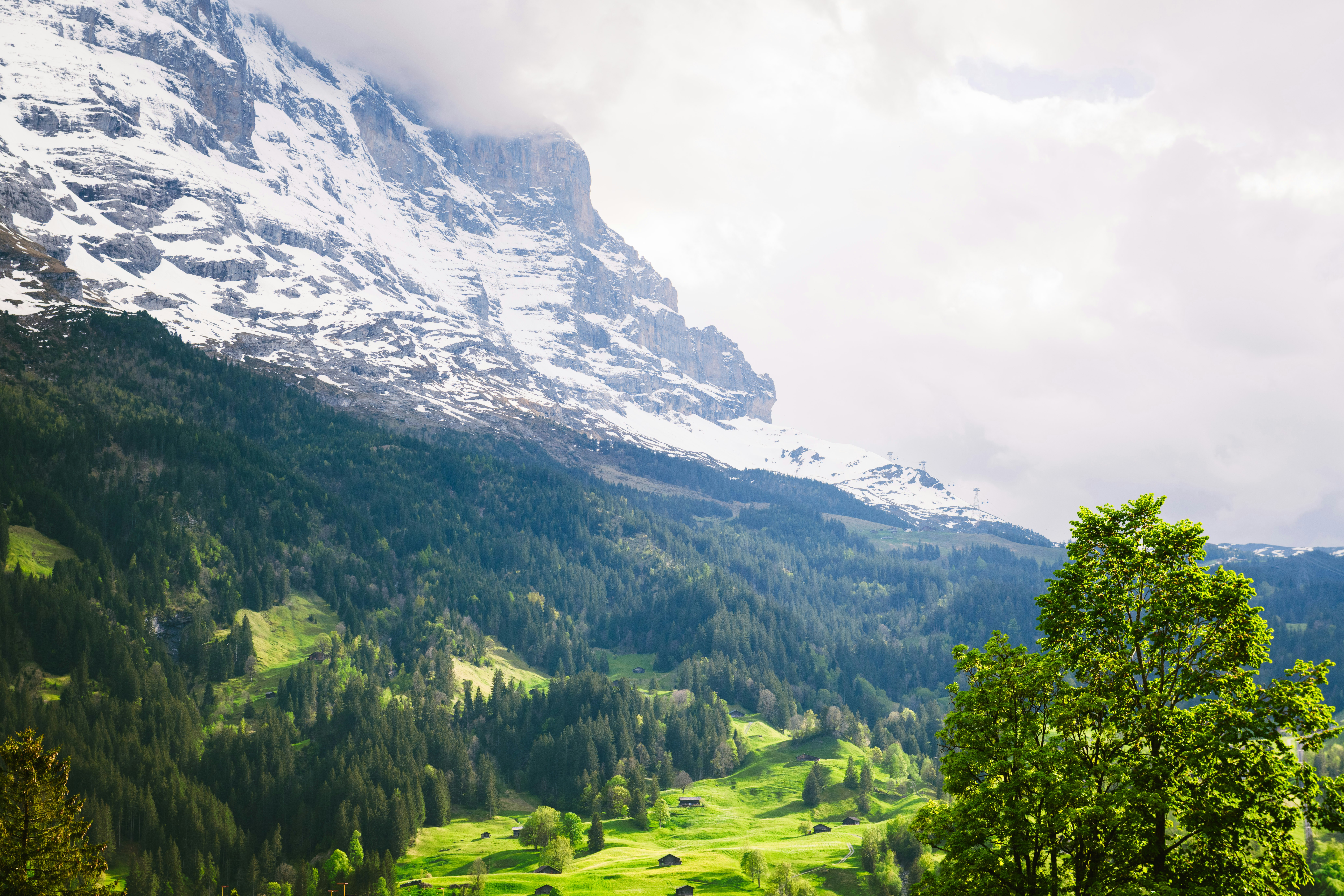 Photo by sriniunsplash