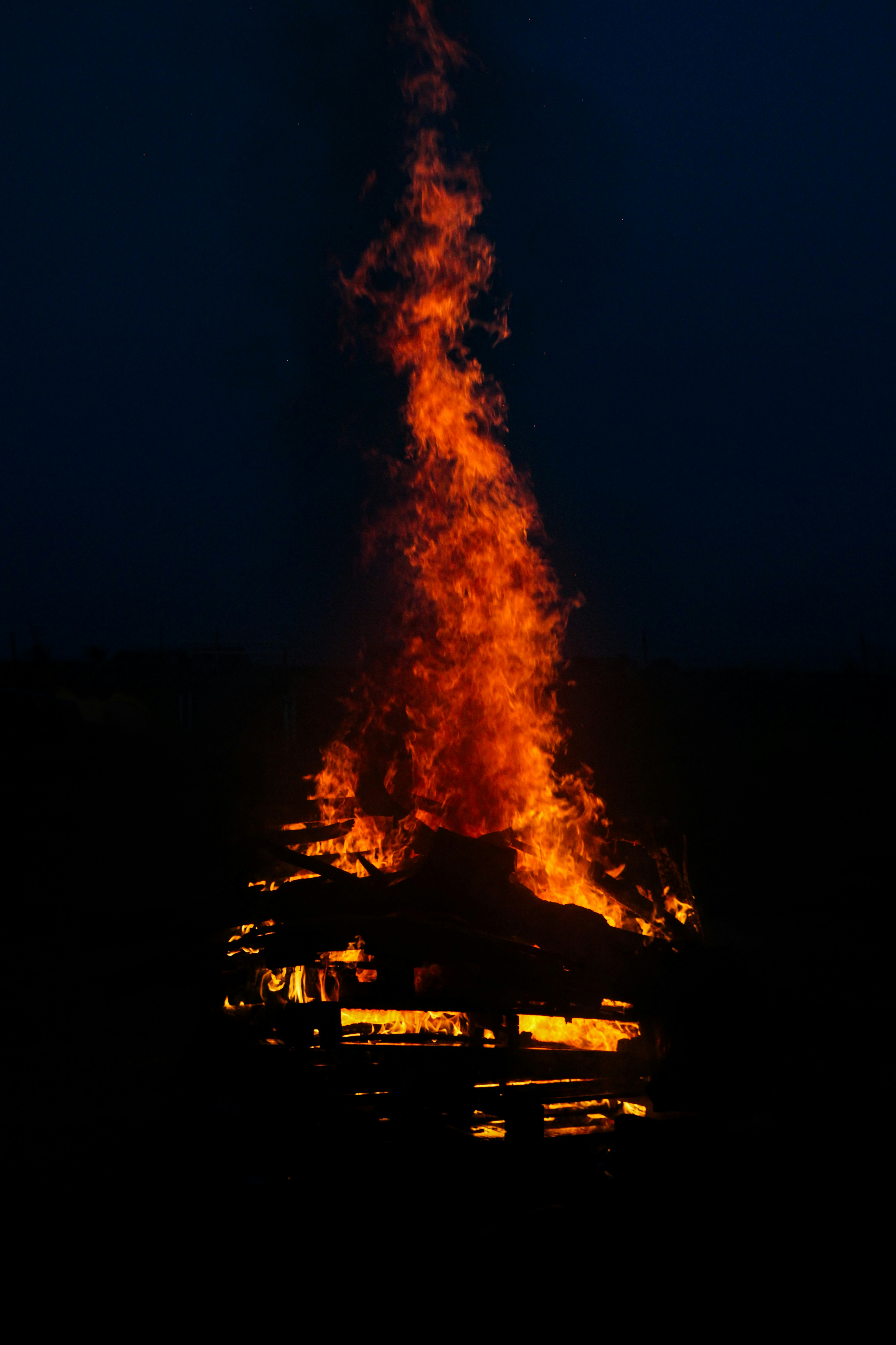 Photo by nextgenpics