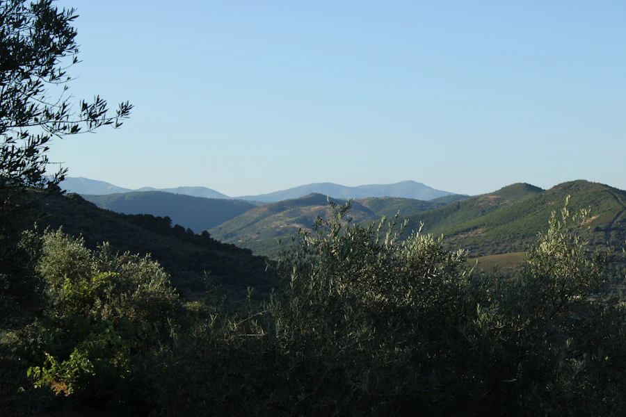 Nif Dağı manzarası