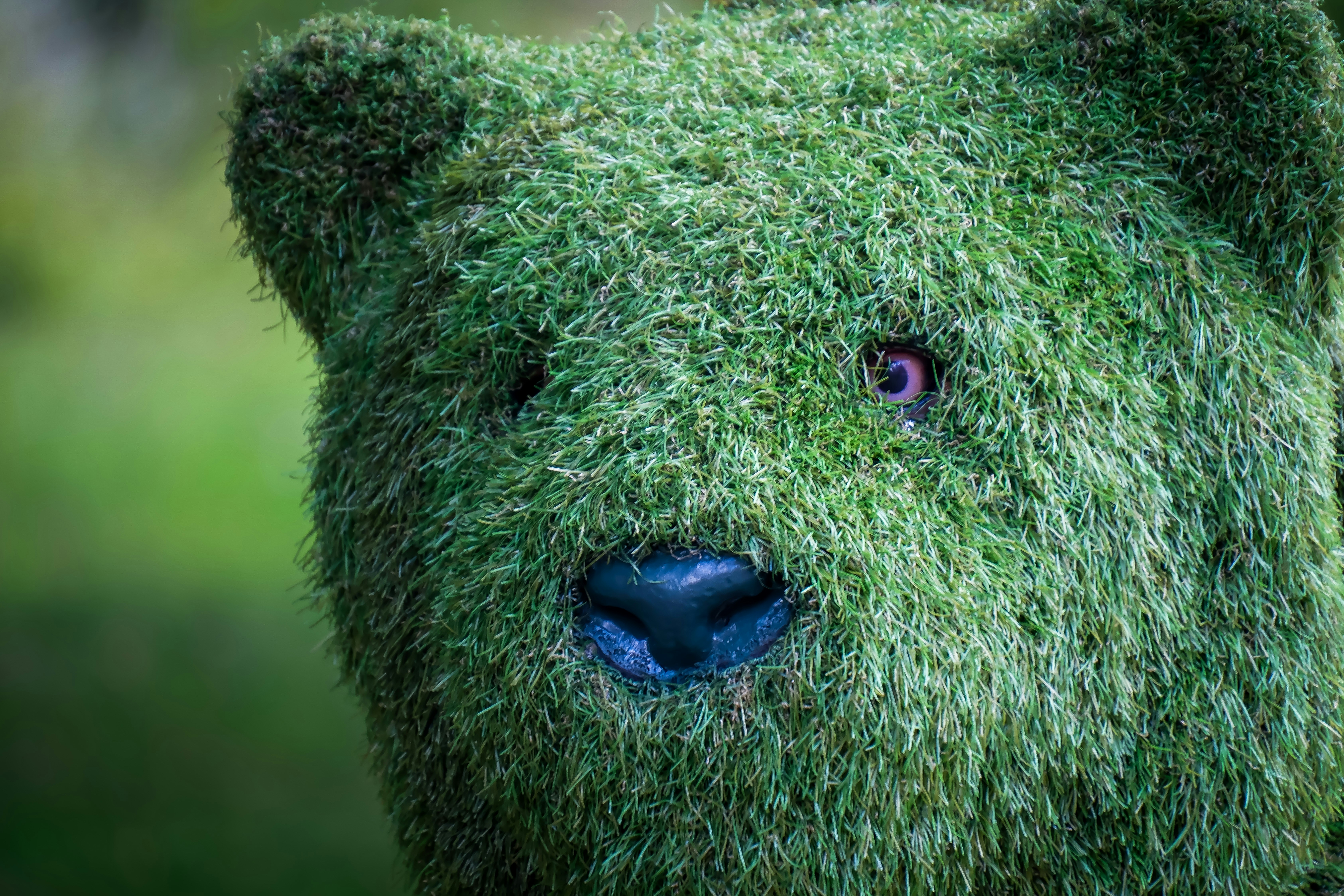 A bear-shaped topiary covered in green moss